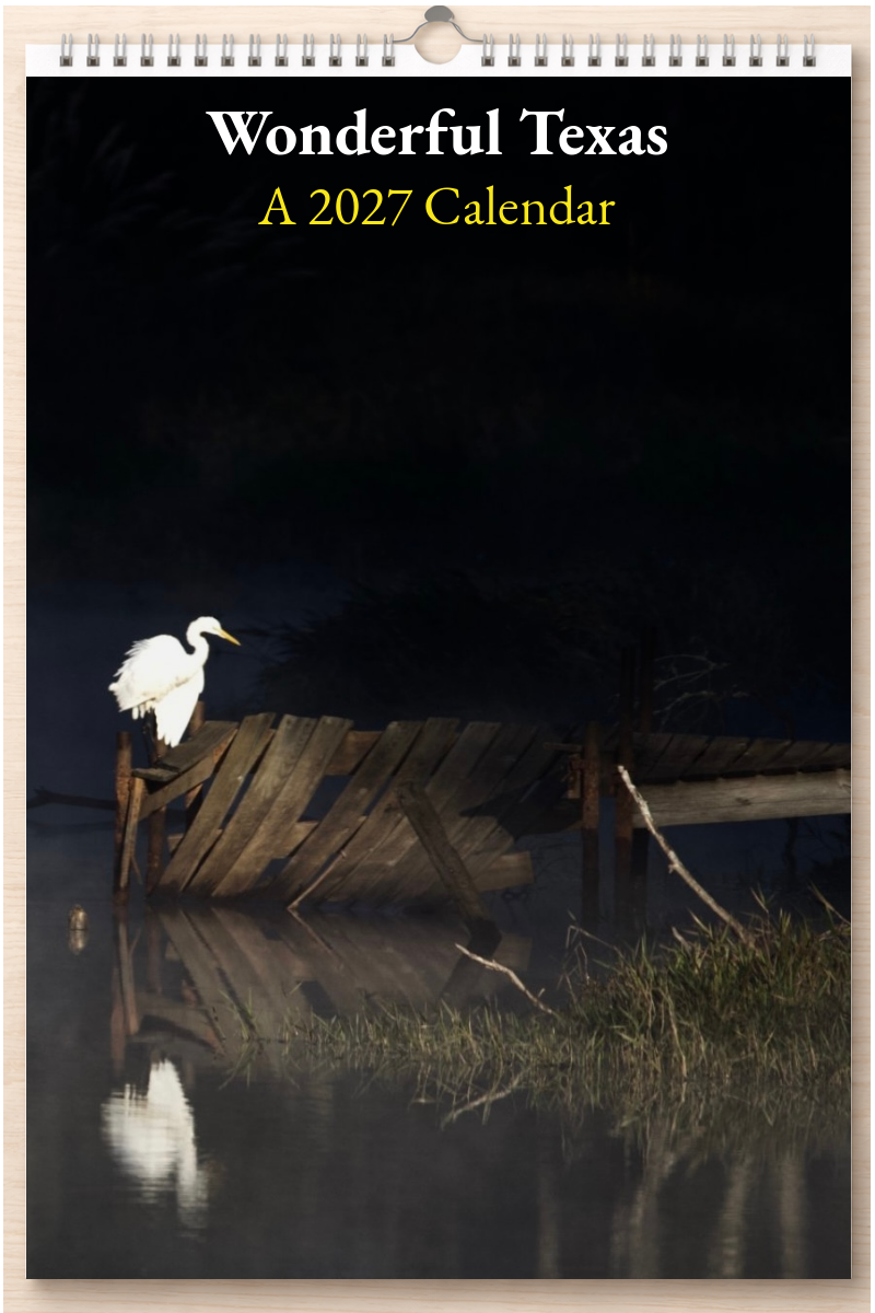 Wonderful Texas: A 2027 Calendar