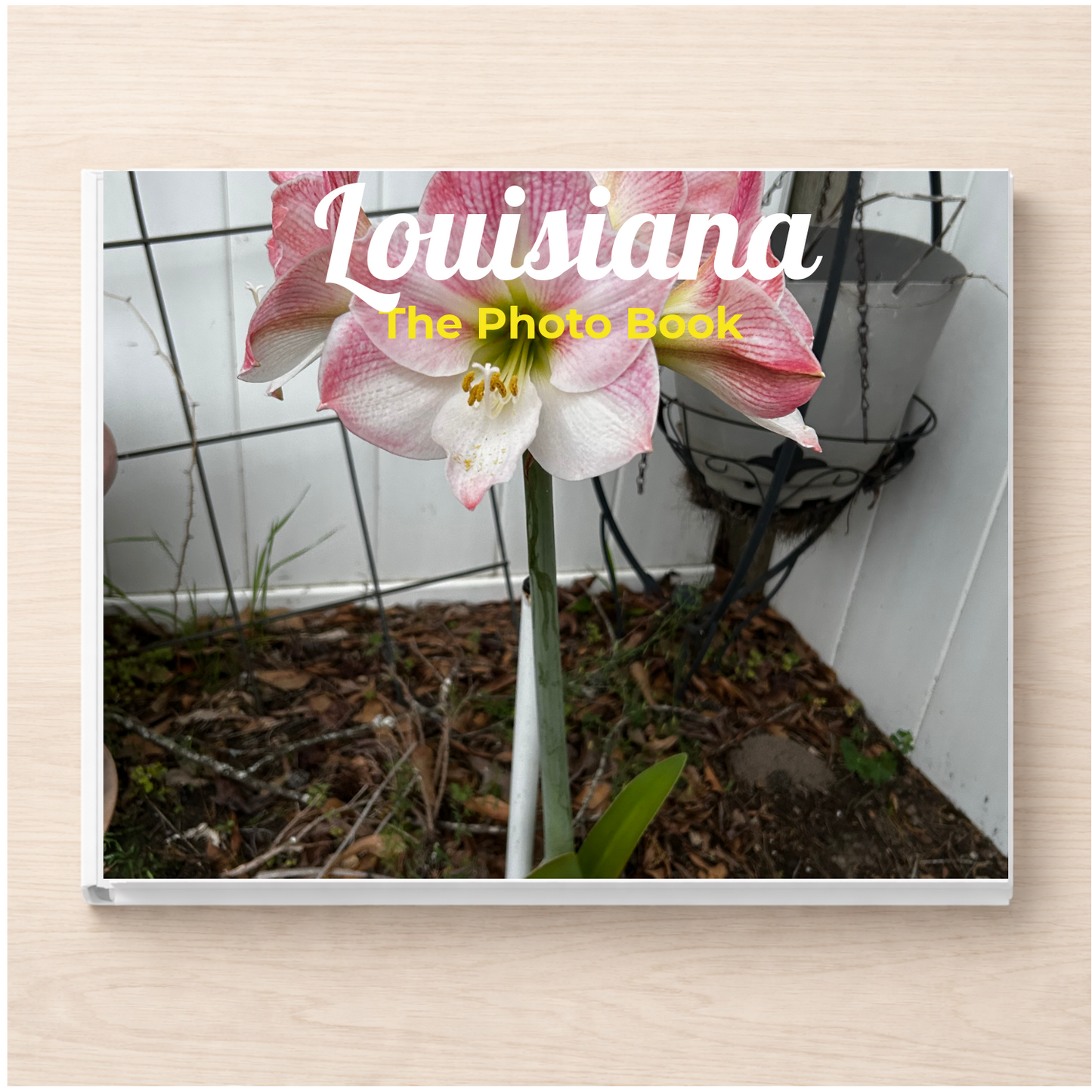 Louisiana: The Photo Book