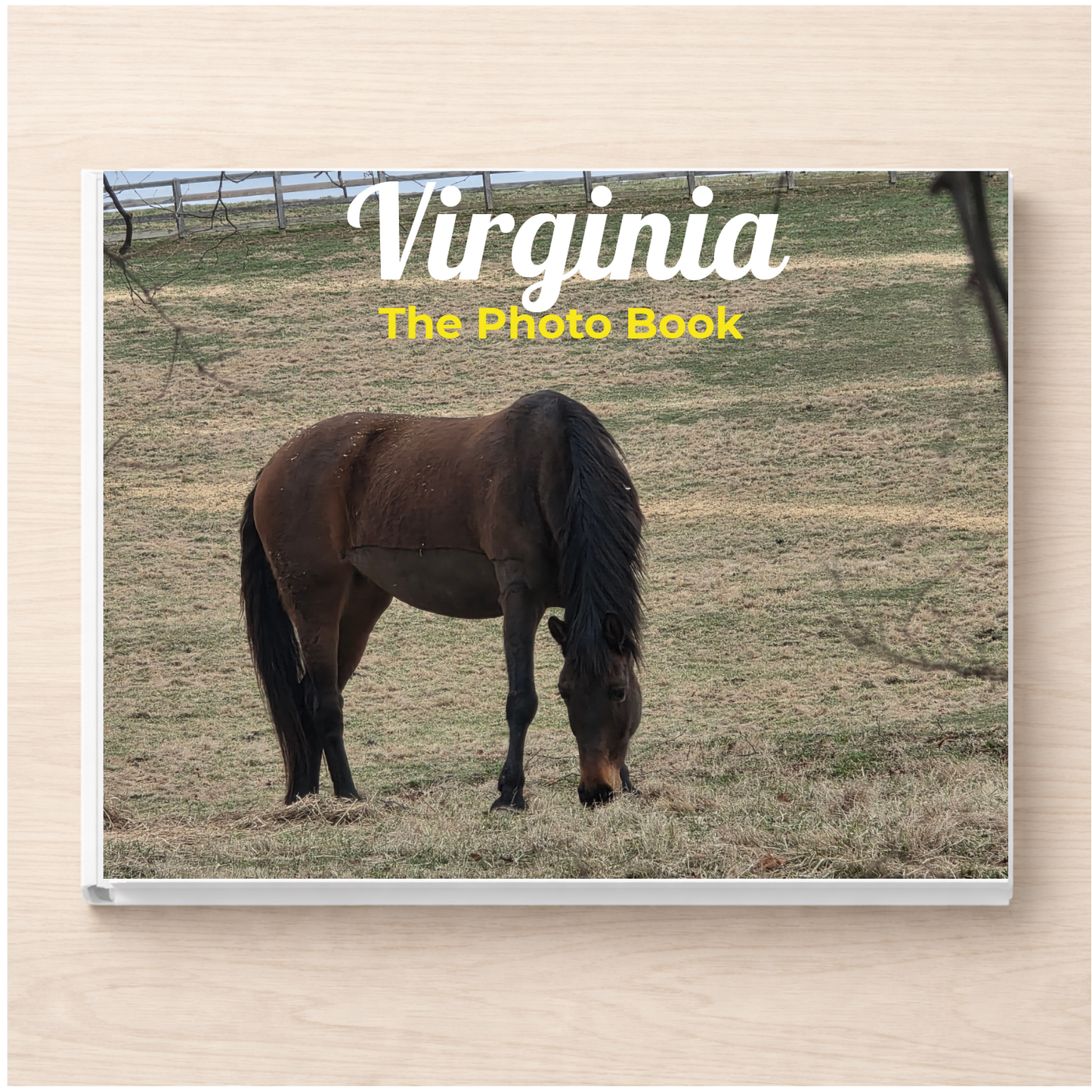 Virginia: The Photo Book