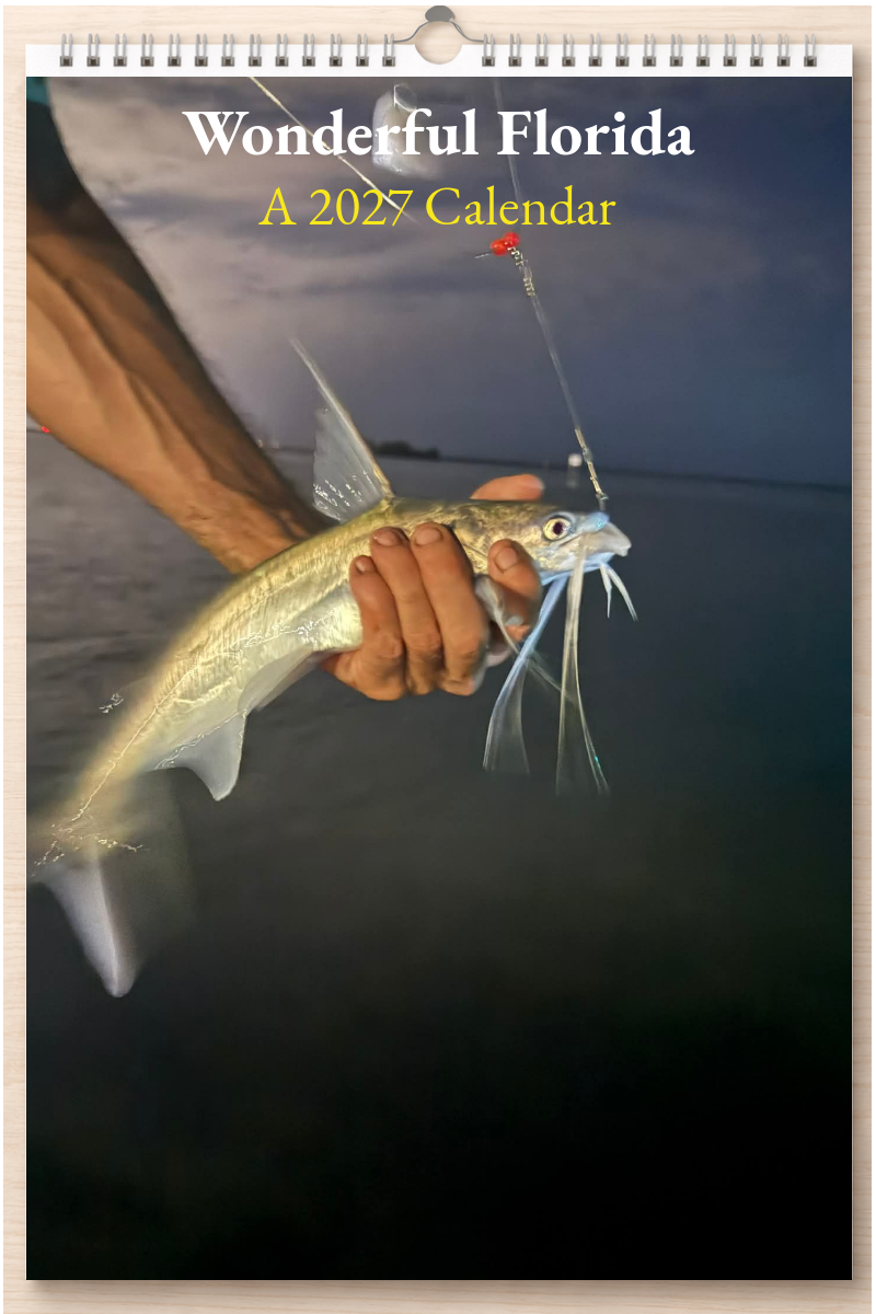 Wonderful Florida: A 2027 Calendar