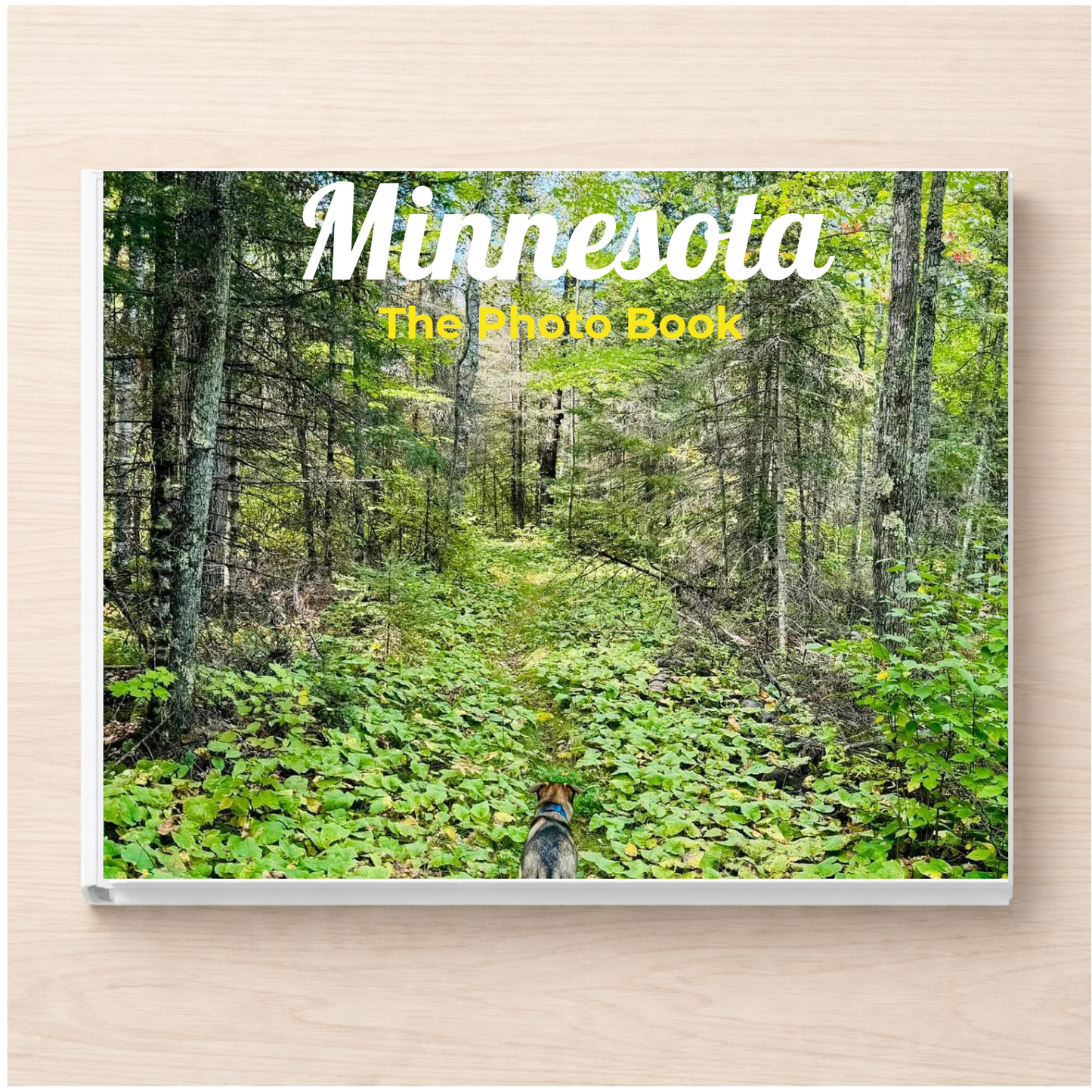 Minnesota: The Photo Book