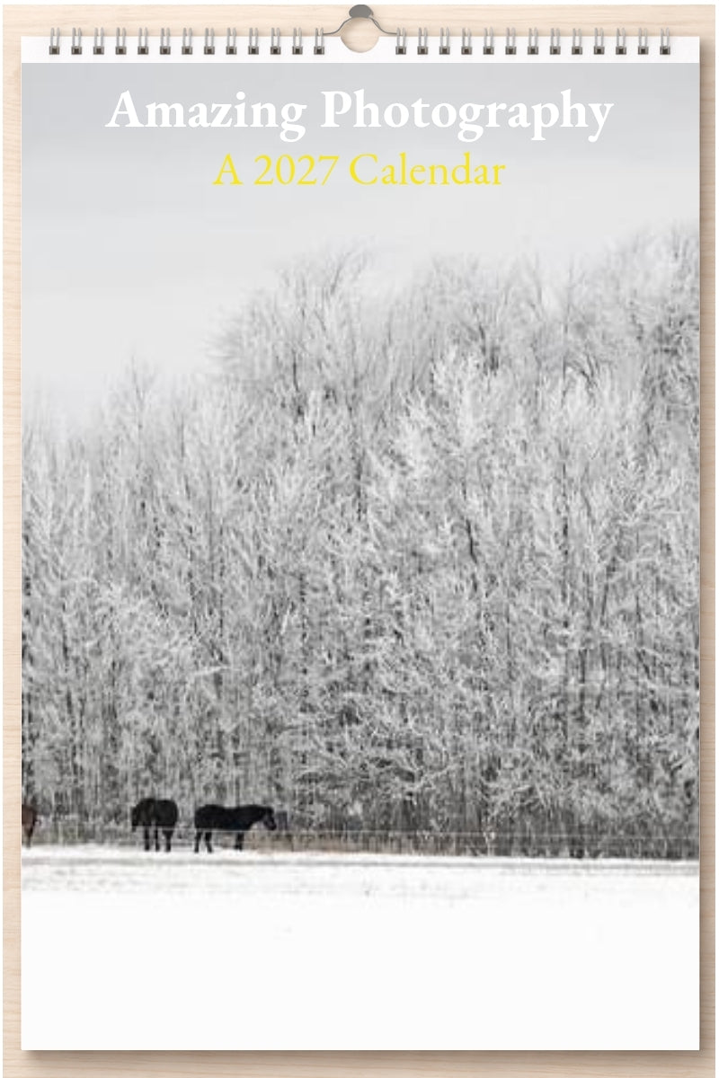 Amazing Photography: A 2027 Calendar