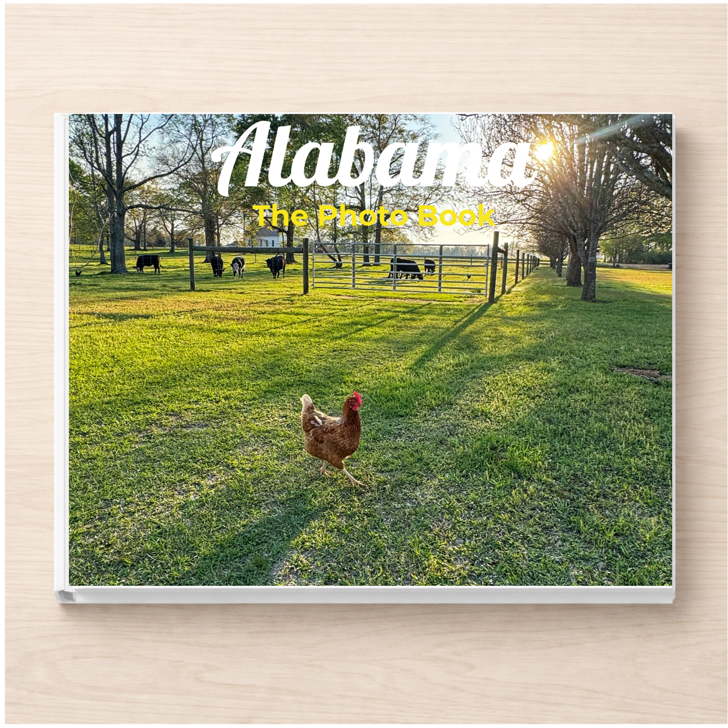 Alabama: The Photo Book