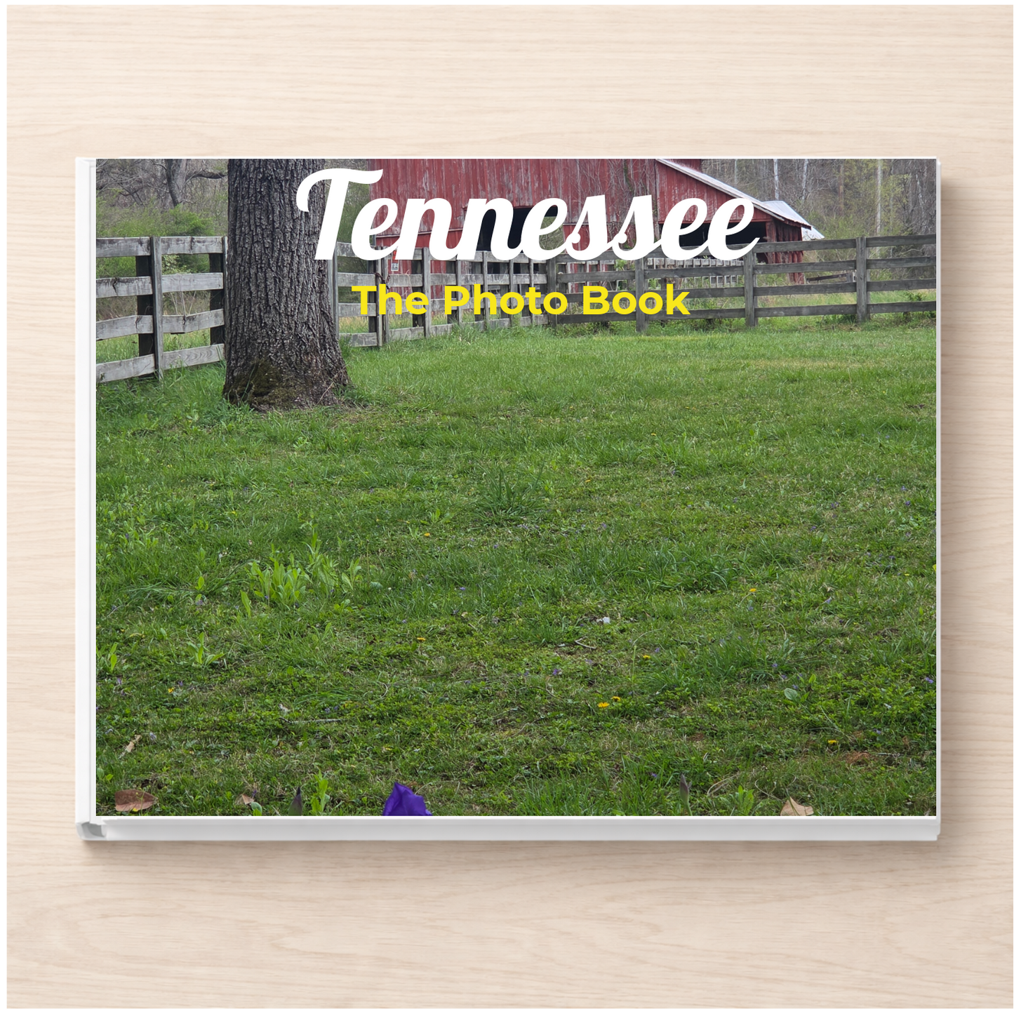 Tennessee: The Photo Book