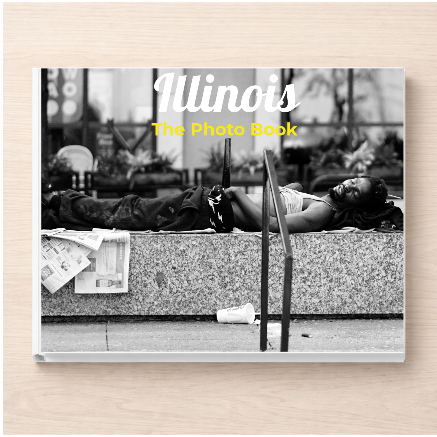 Illinois: The Photo Book
