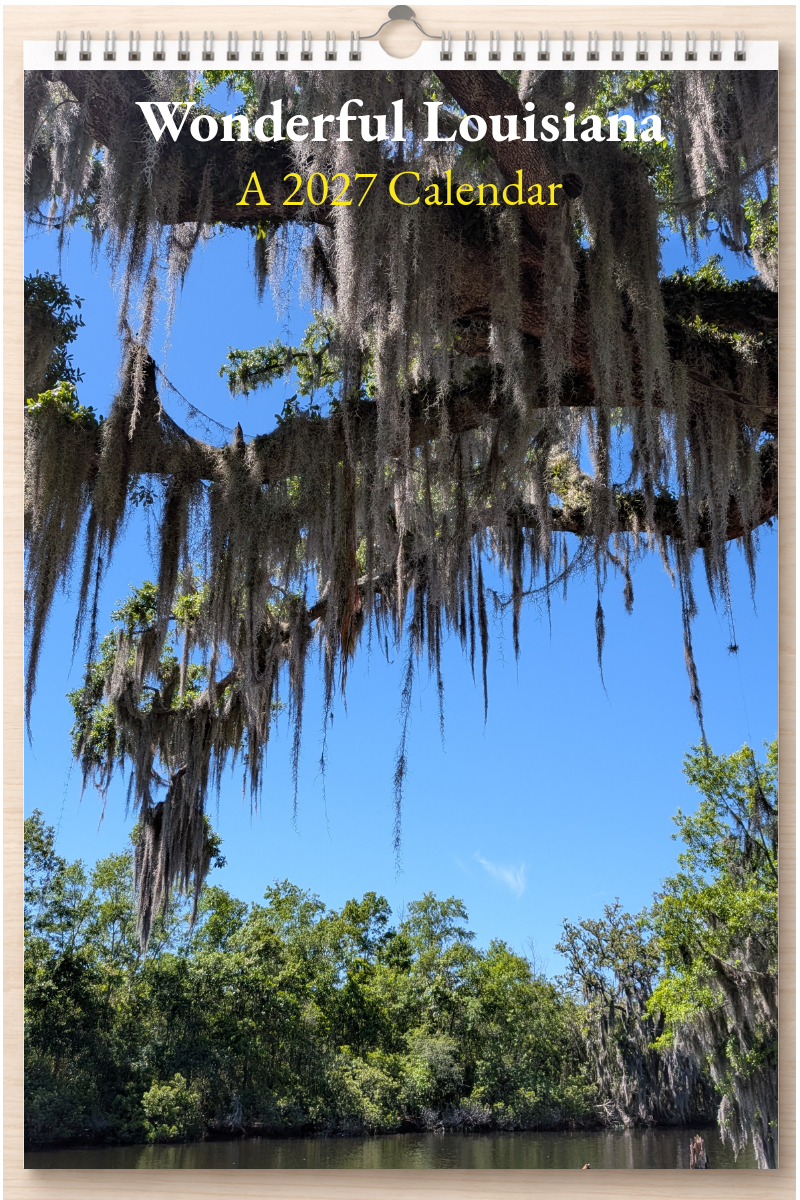 Wonderful Louisiana: A 2027 Calendar