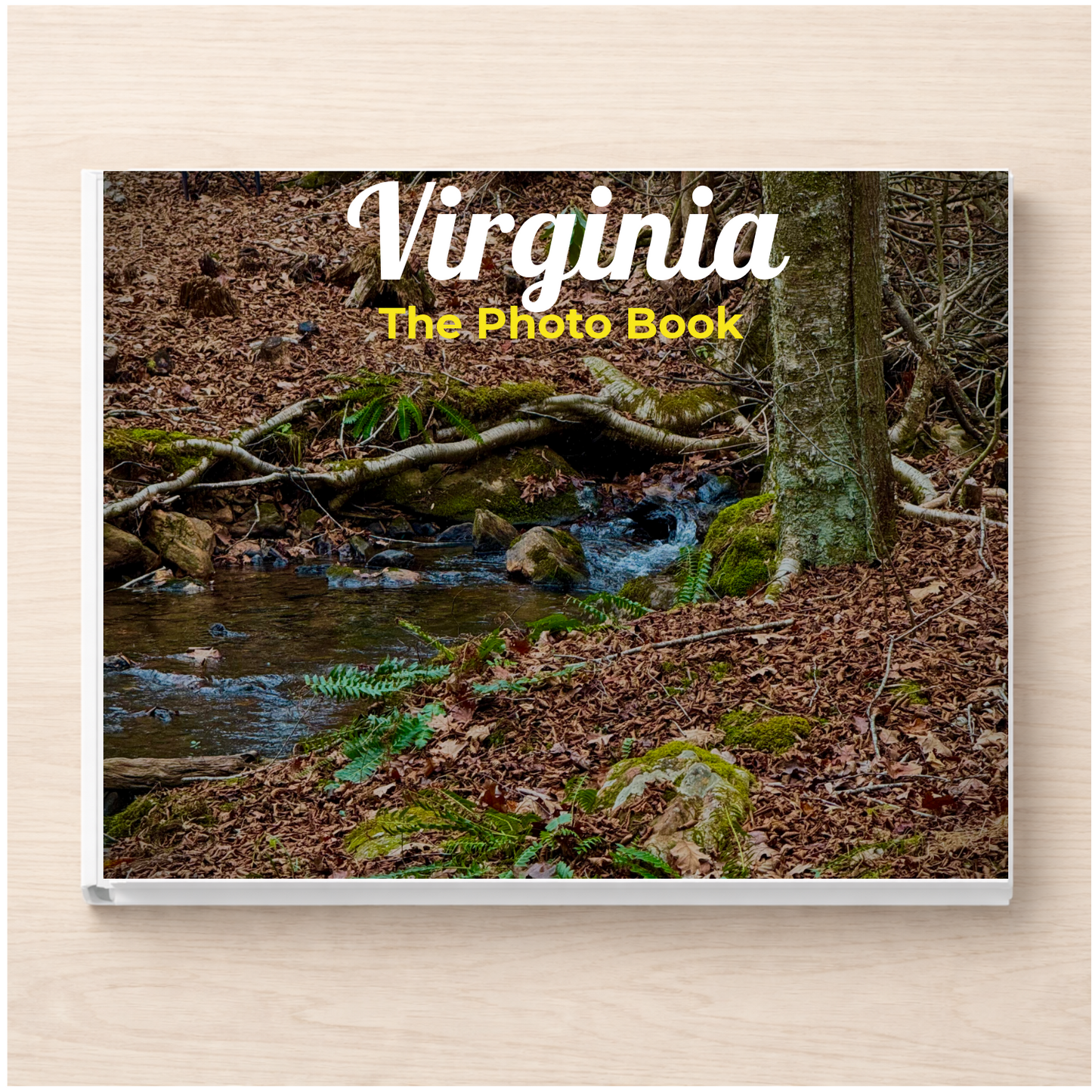 Virginia: The Photo Book