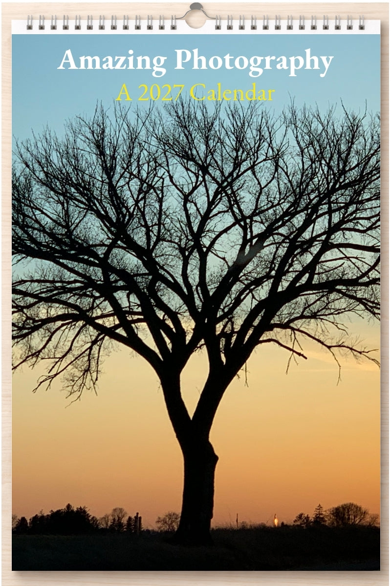 Amazing Photography: A 2027 Calendar