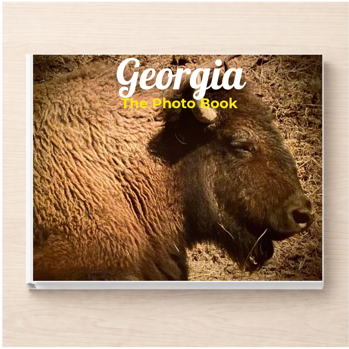 Georgia: The Photo Book
