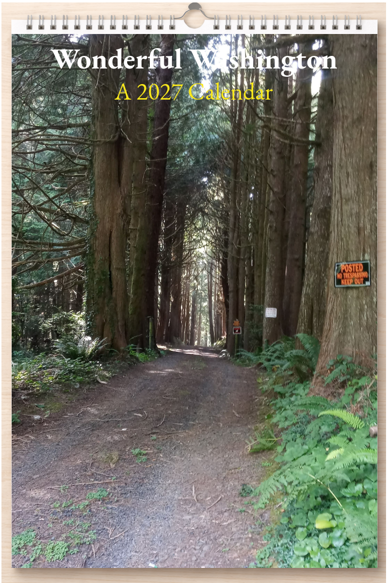 Wonderful Washington: A 2027 Calendar