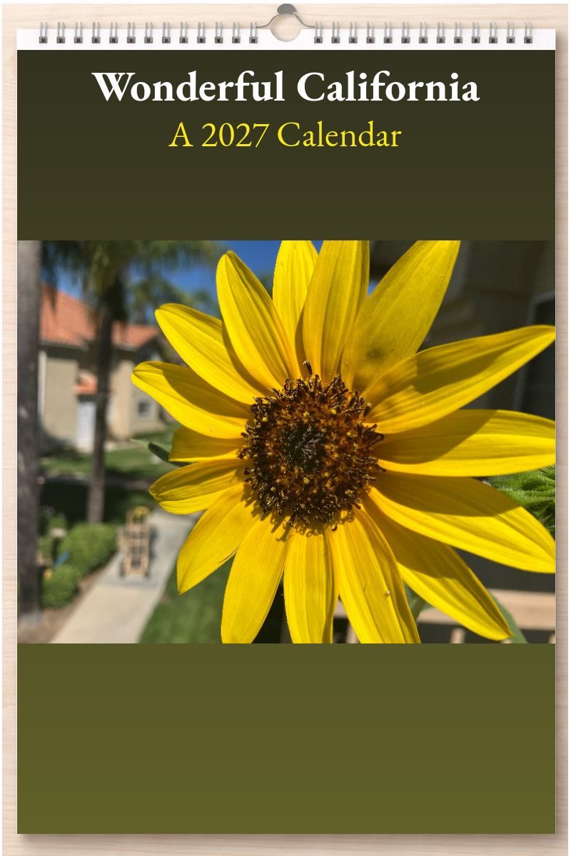 Wonderful California: A 2027 Calendar