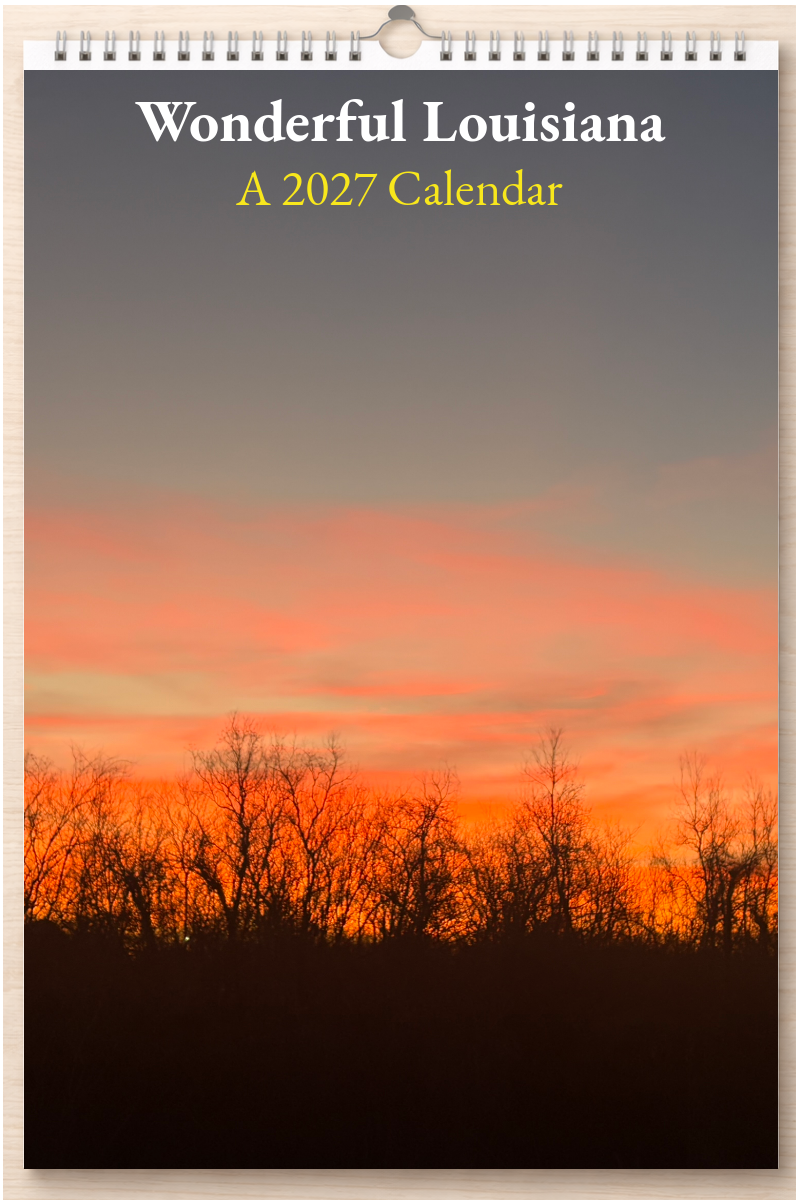 Wonderful Louisiana: A 2027 Calendar