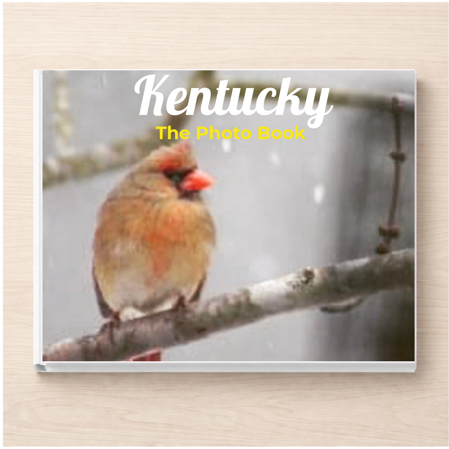 Kentucky: The Photo Book