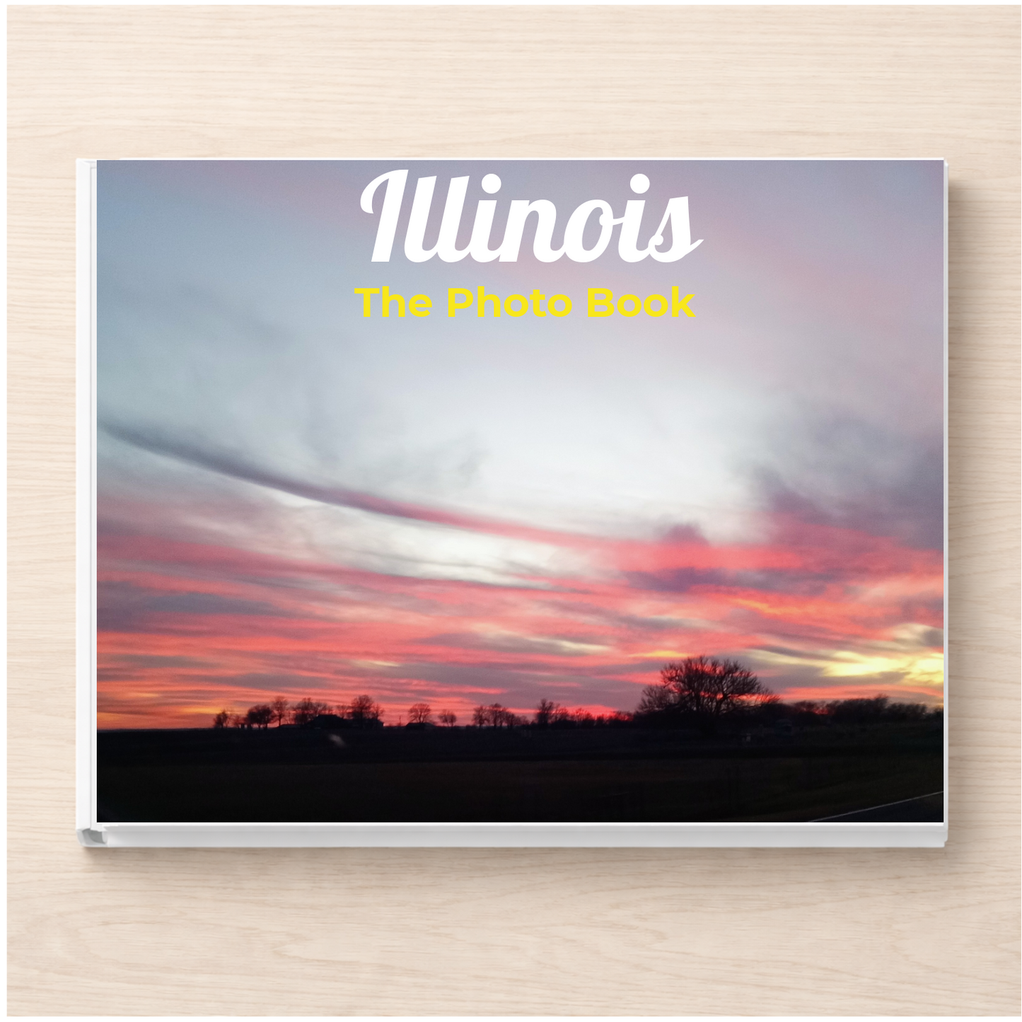 Illinois: The Photo Book