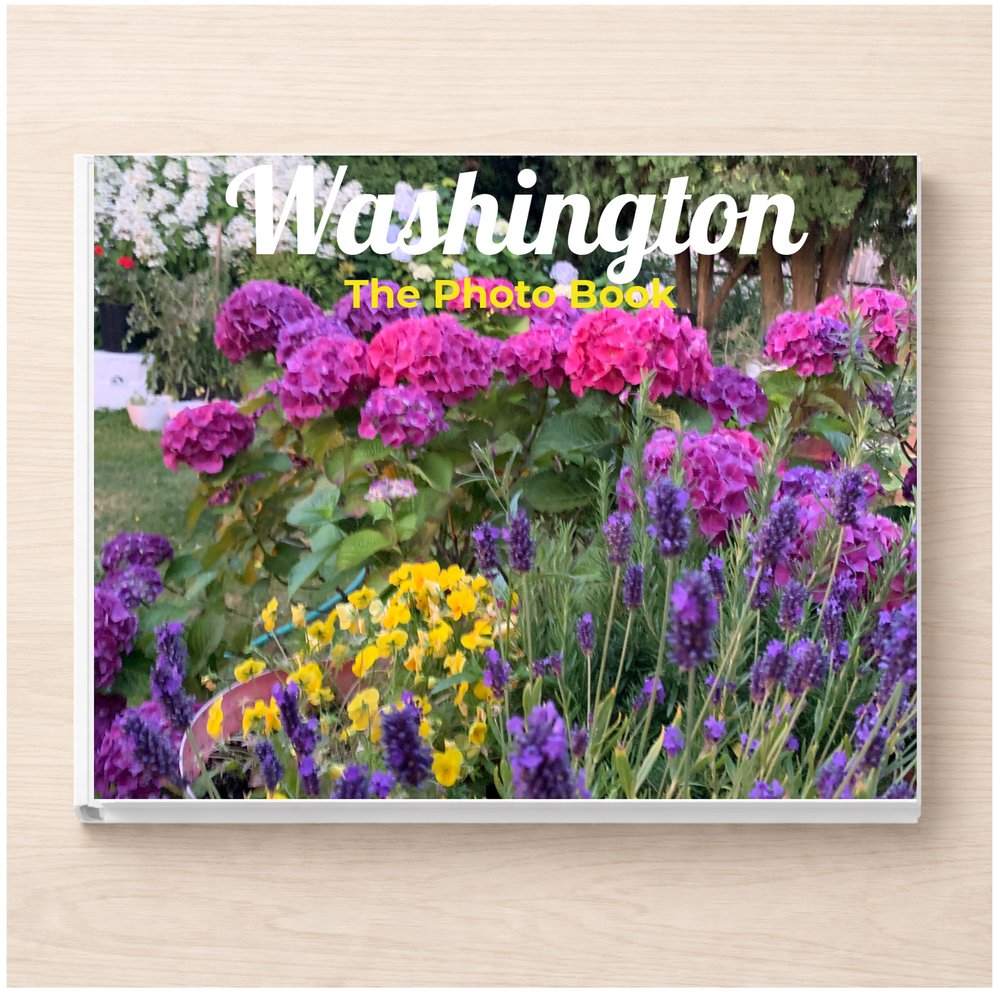Washington: The Photo Book
