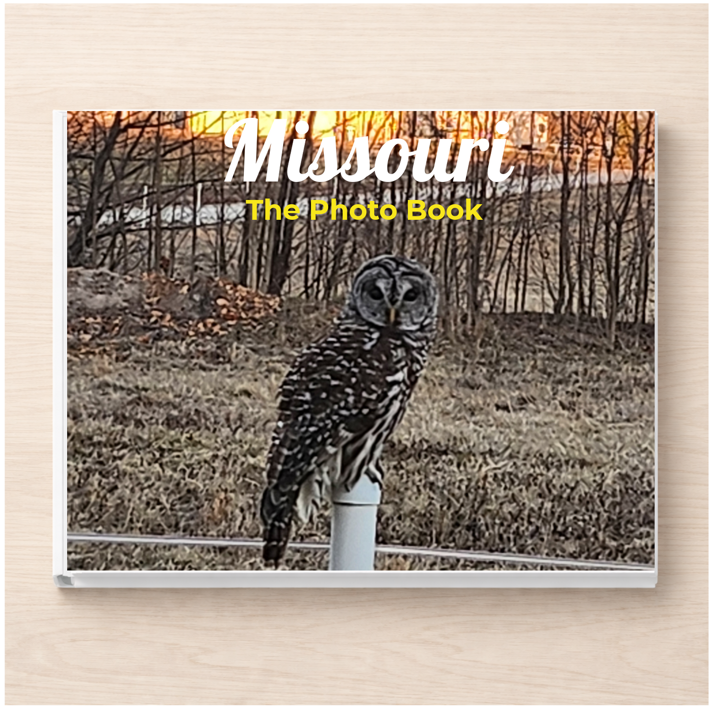 Missouri: The Photo Book
