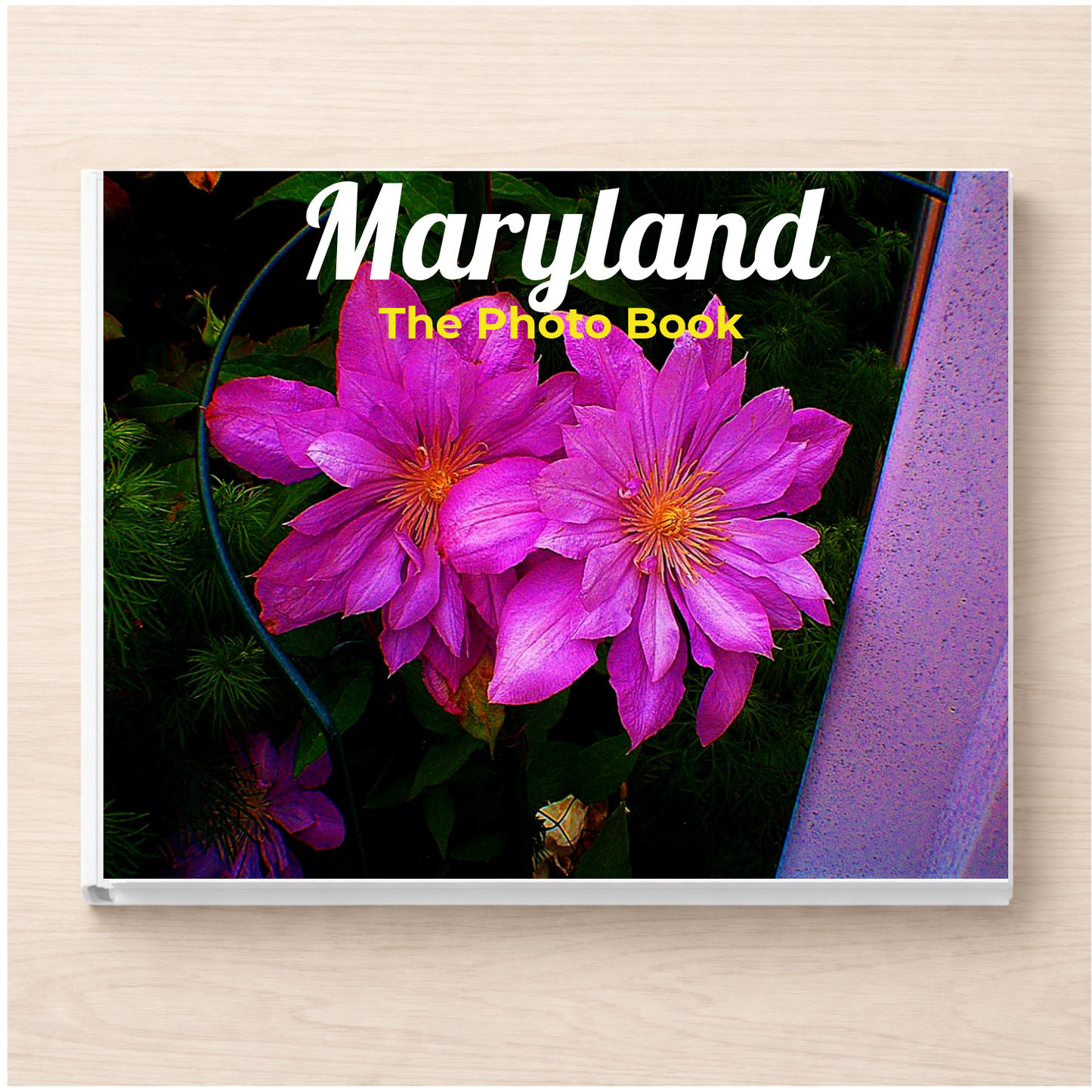 Maryland: The Photo Book