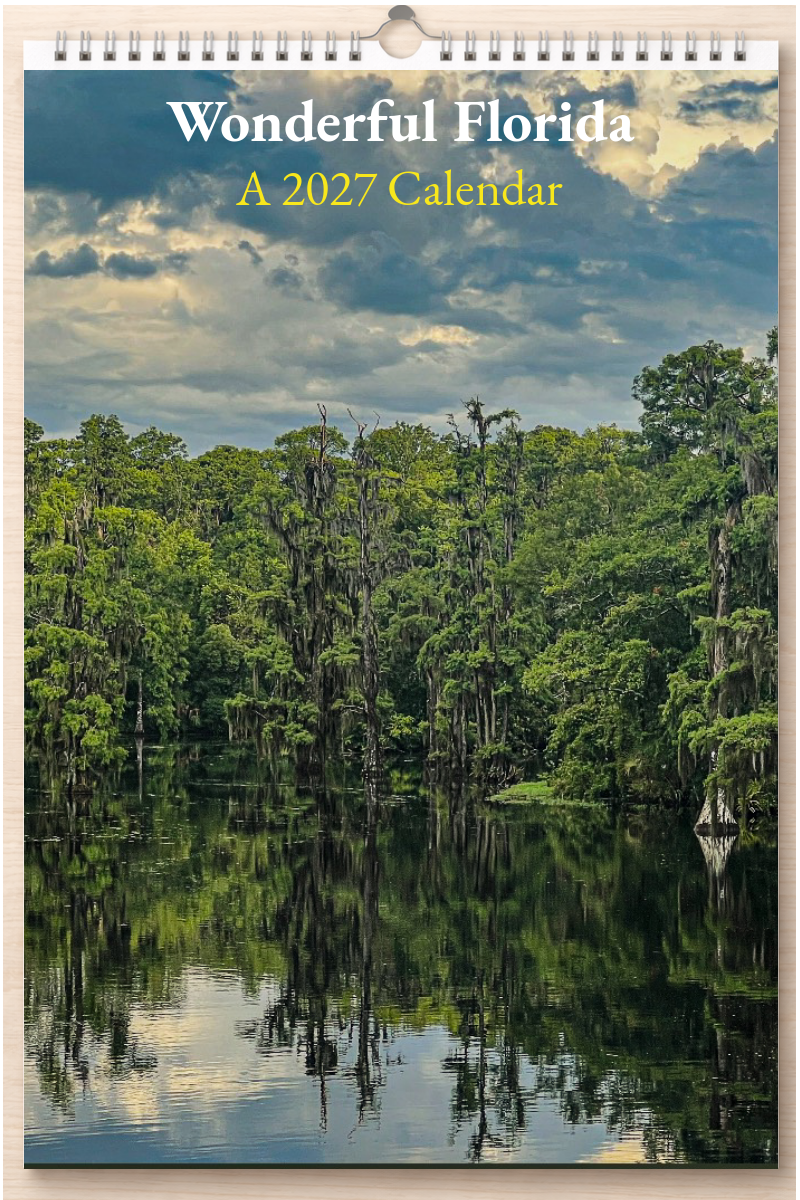 Wonderful Florida: A 2027 Calendar