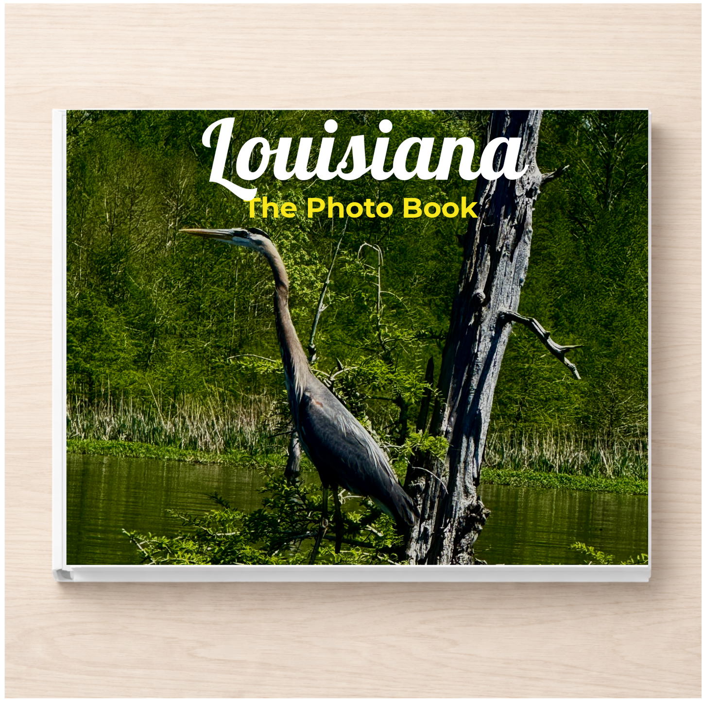 Louisiana: The Photo Book