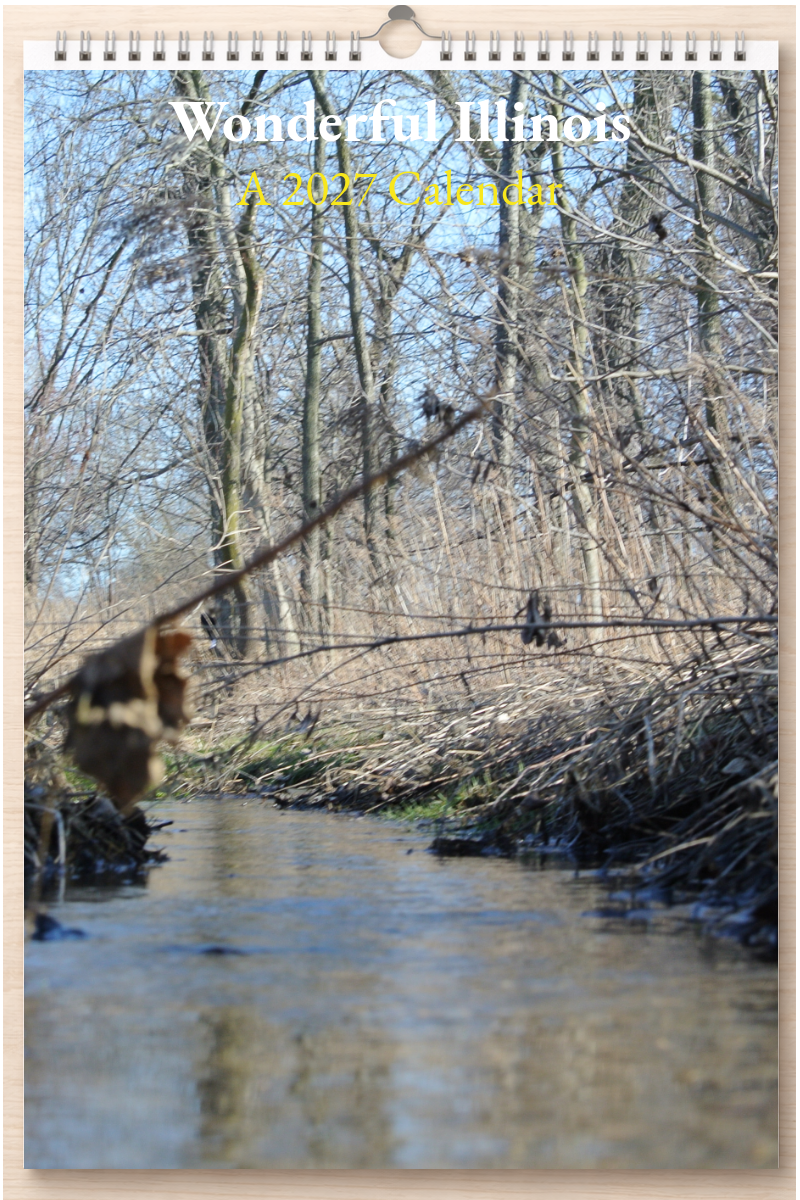 Wonderful Illinois: A 2027 Calendar