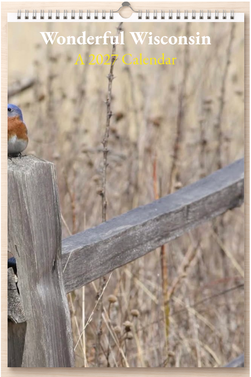 Wonderful Wisconsin: A 2027 Calendar