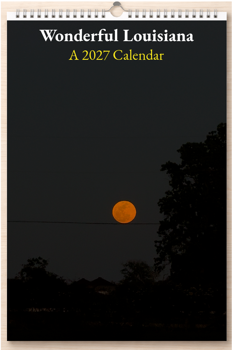 Wonderful Louisiana: A 2027 Calendar