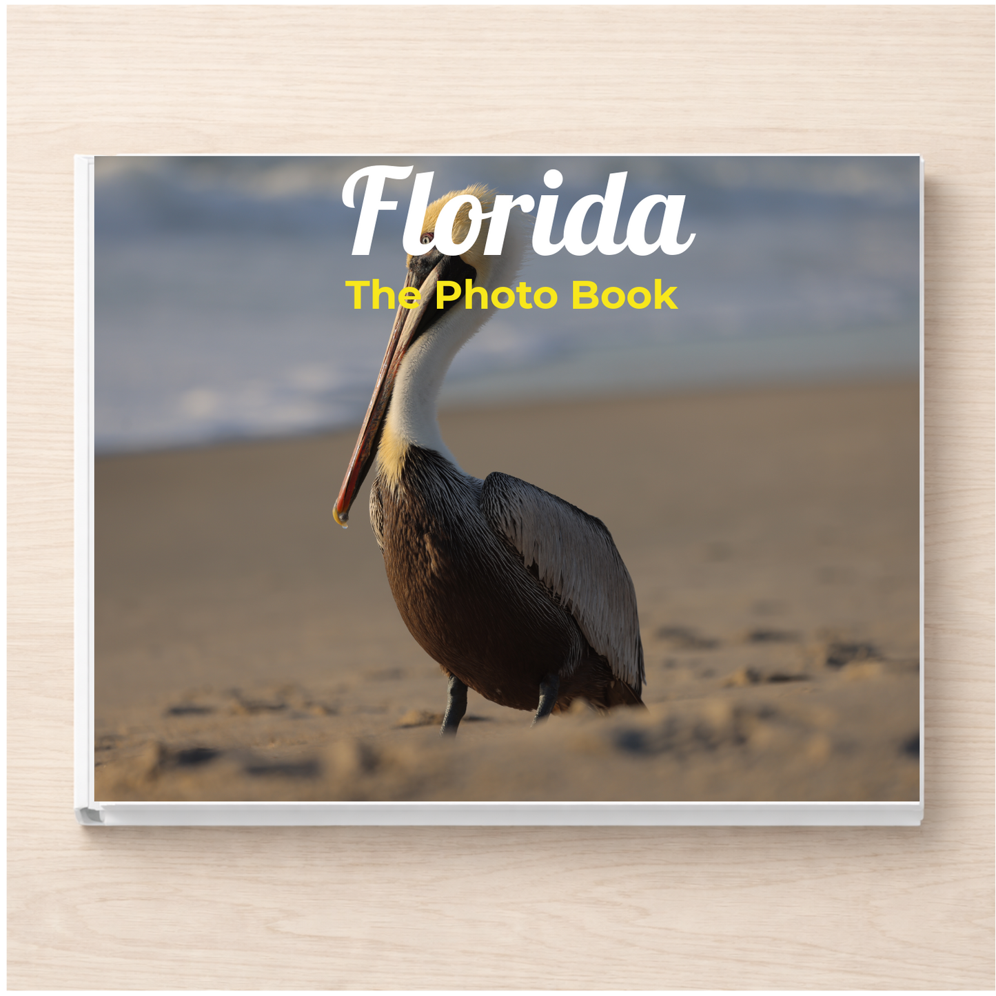 Florida: The Photo Book