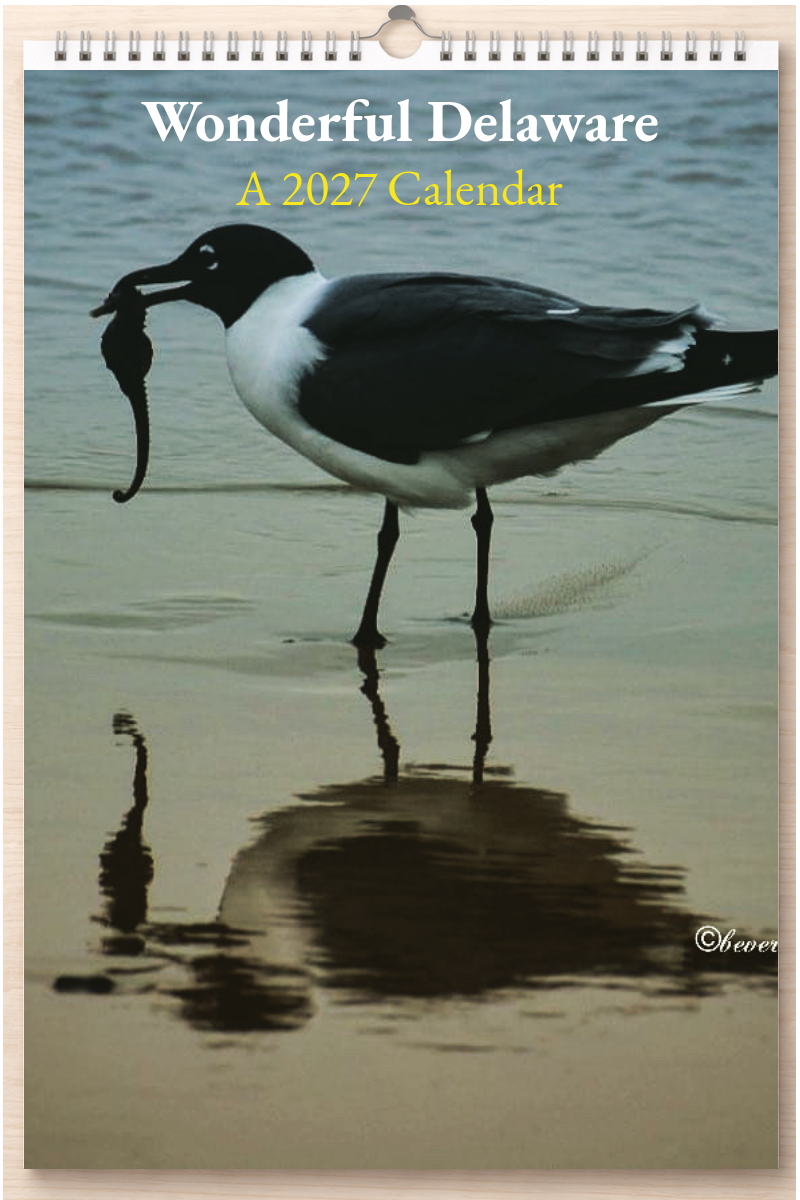 Wonderful Delaware: A 2027 Calendar
