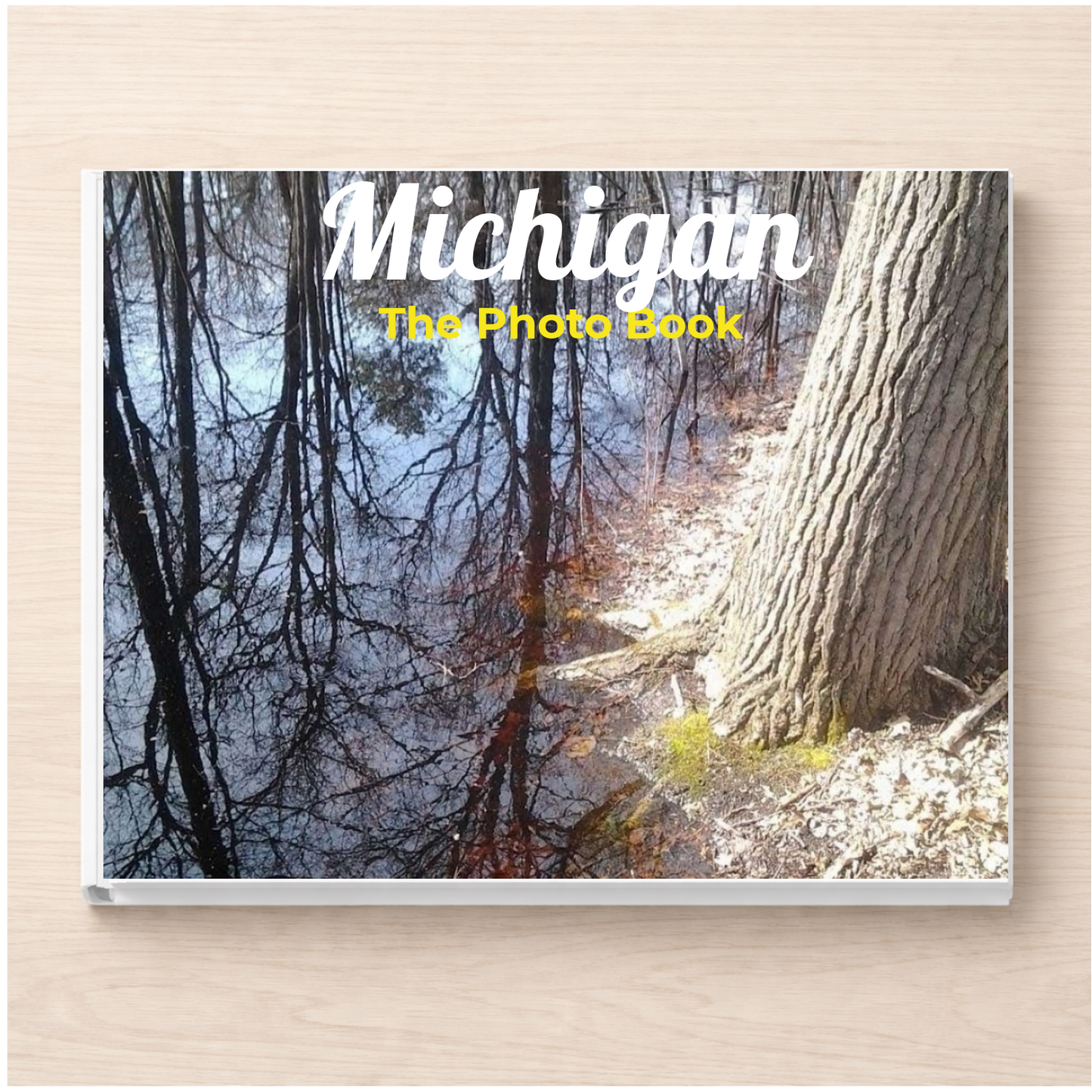 Michigan: The Photo Book