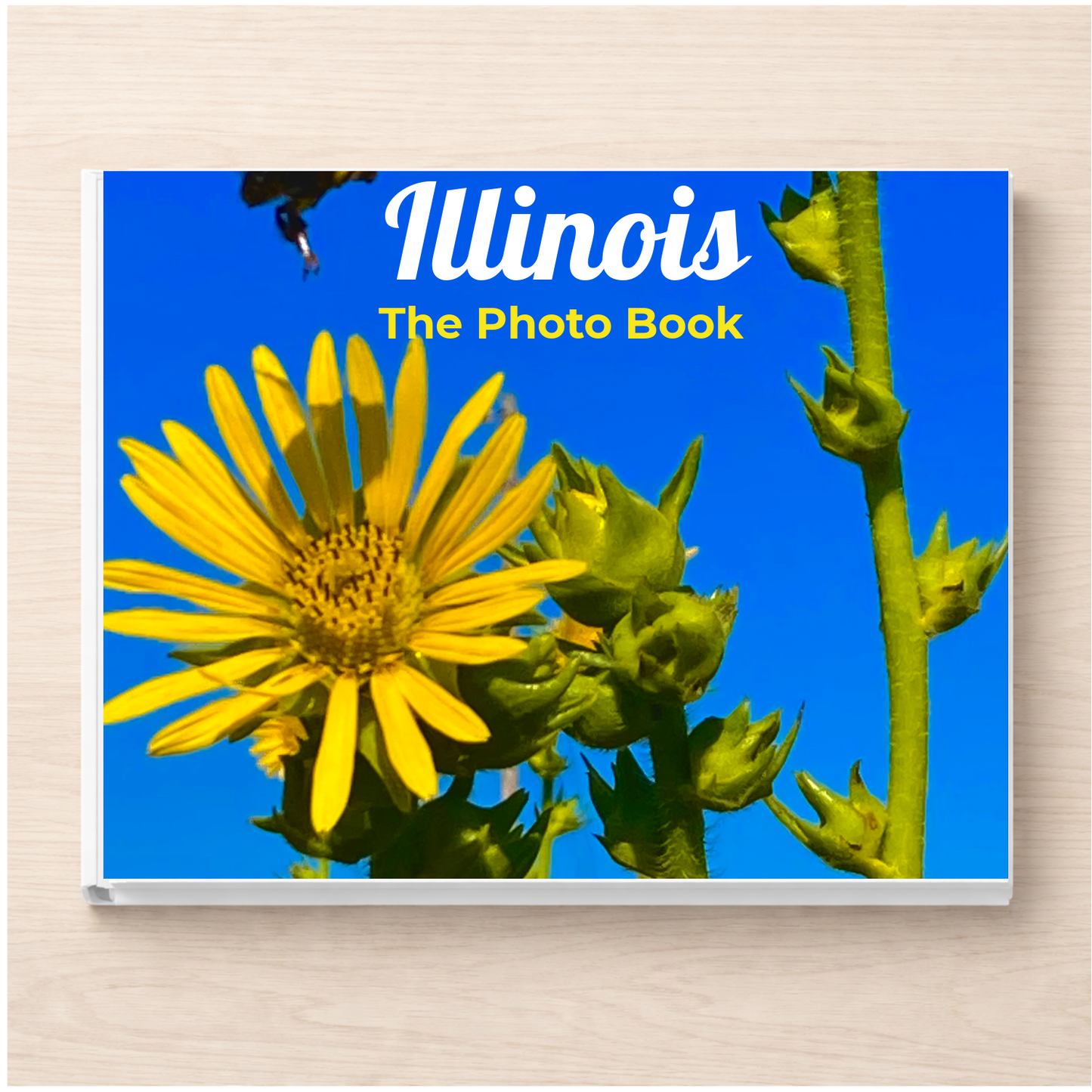 Illinois: The Photo Book