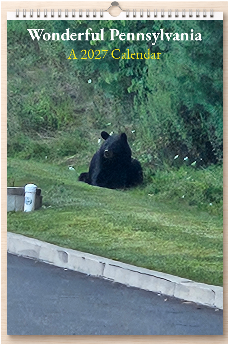 Wonderful Pennsylvania: A 2027 Calendar