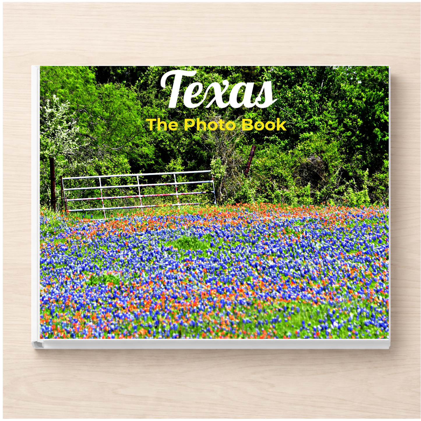 Texas: The Photo Book