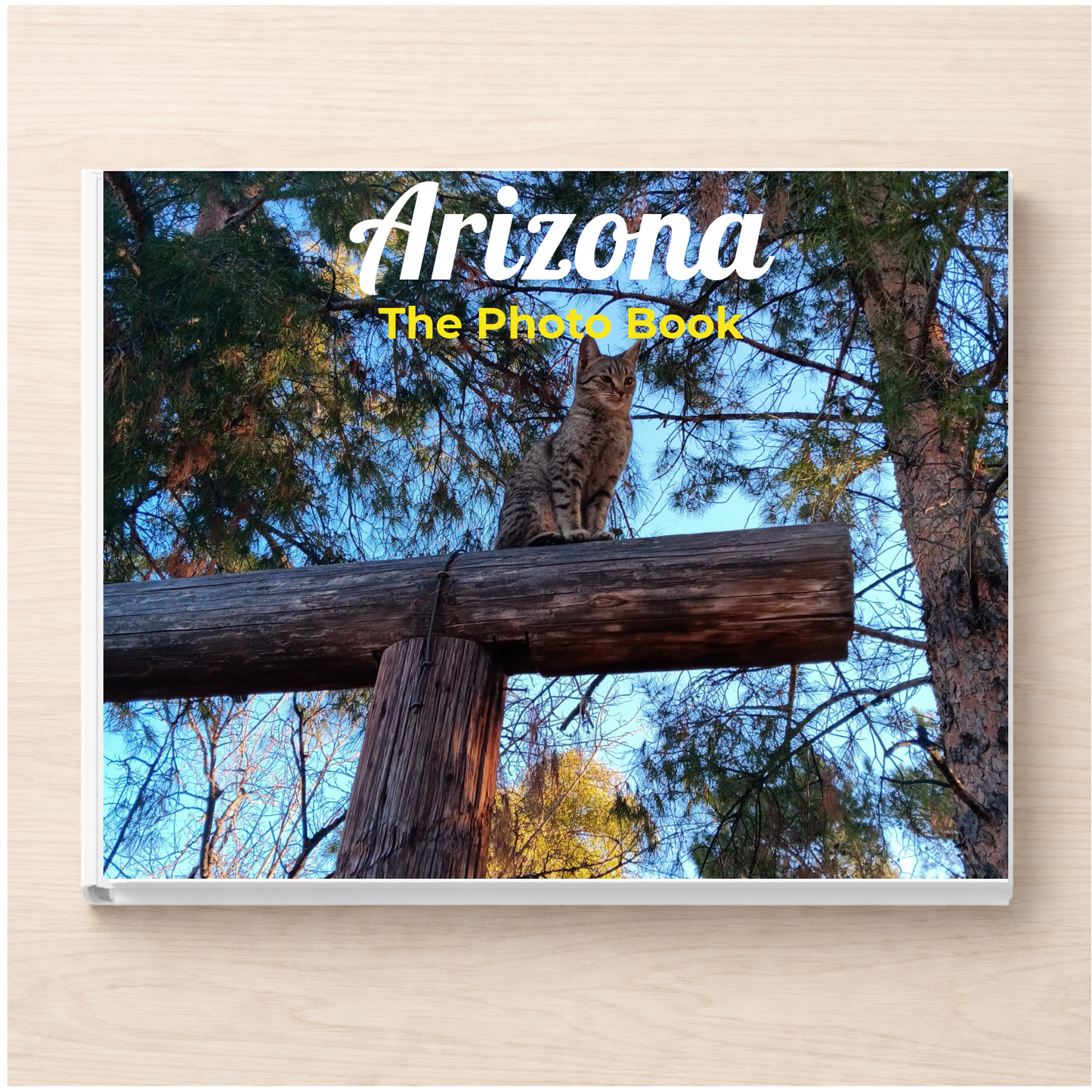 Arizona: The Photo Book