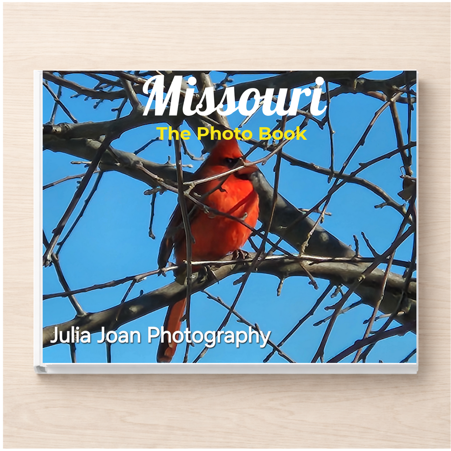 Missouri: The Photo Book