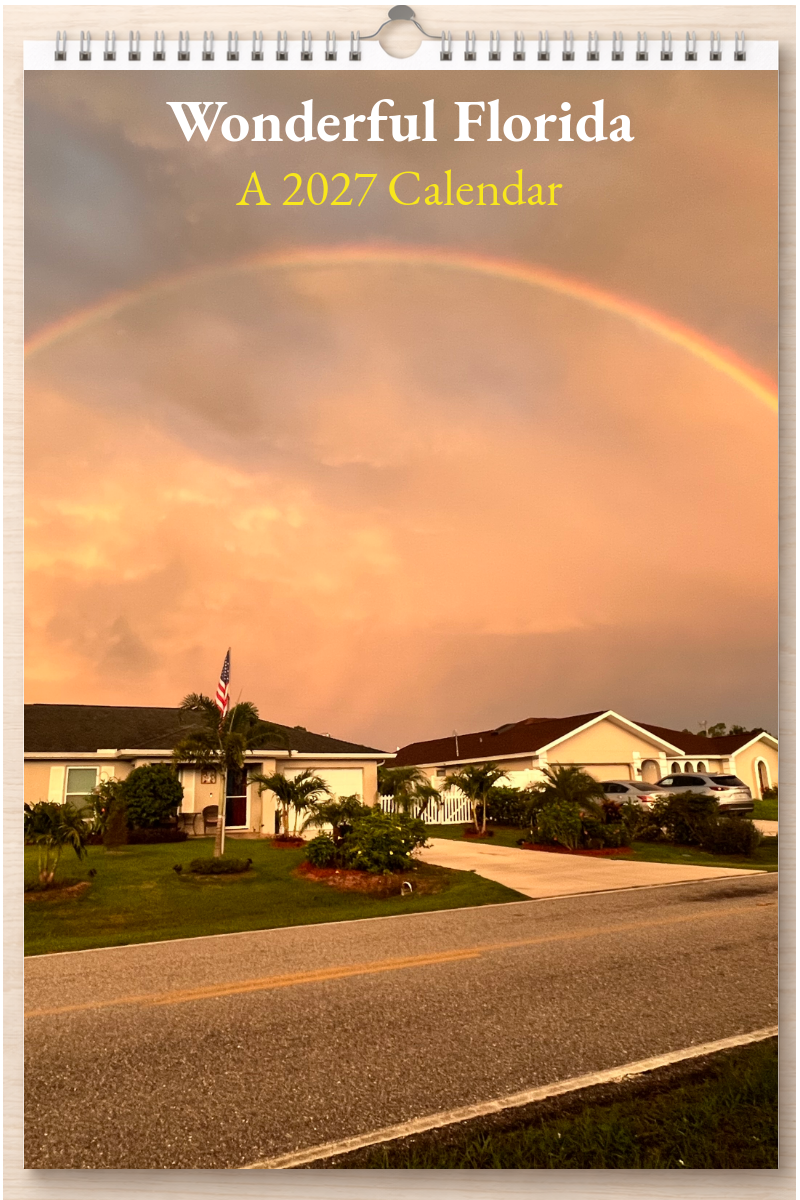 Wonderful Florida: A 2027 Calendar