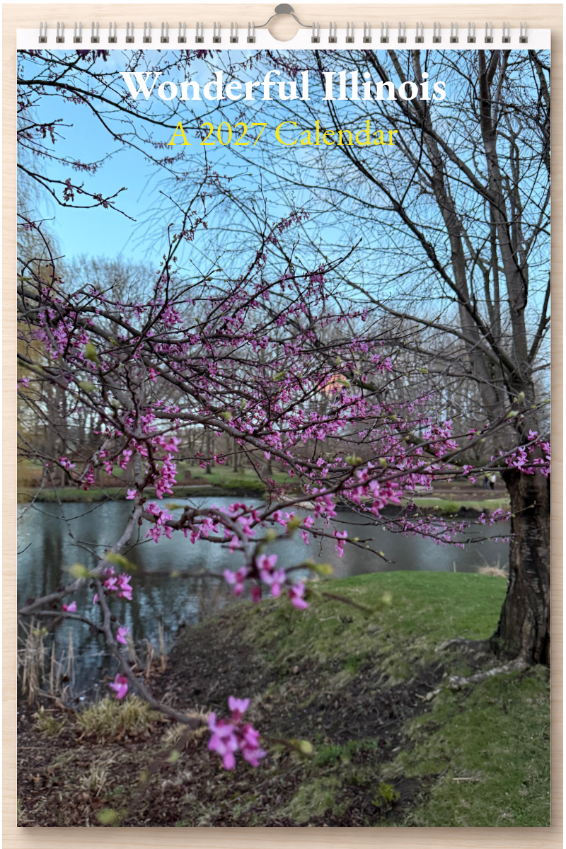 Wonderful Illinois: A 2027 Calendar