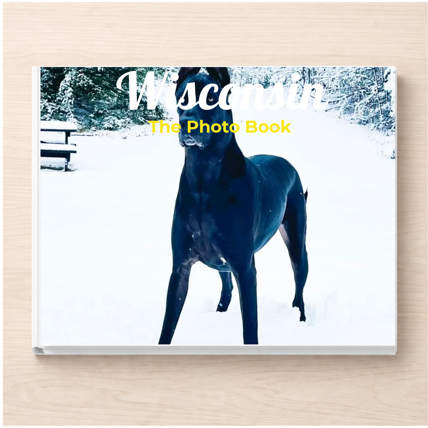 Wisconsin: The Photo Book