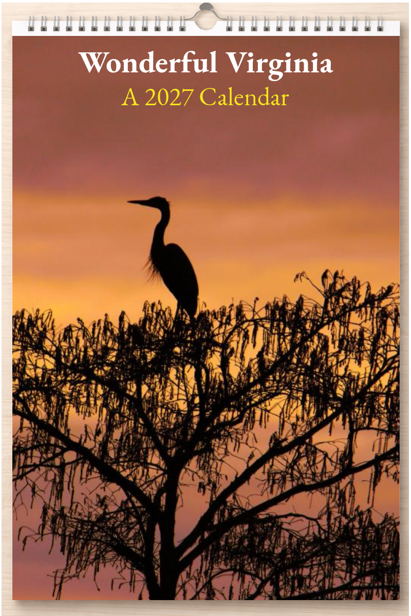 Wonderful Virginia: A 2027 Calendar