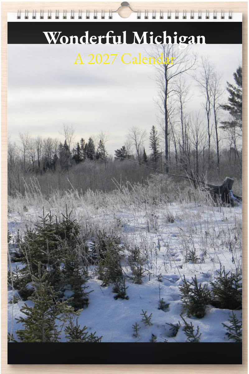 Wonderful Michigan: A 2027 Calendar
