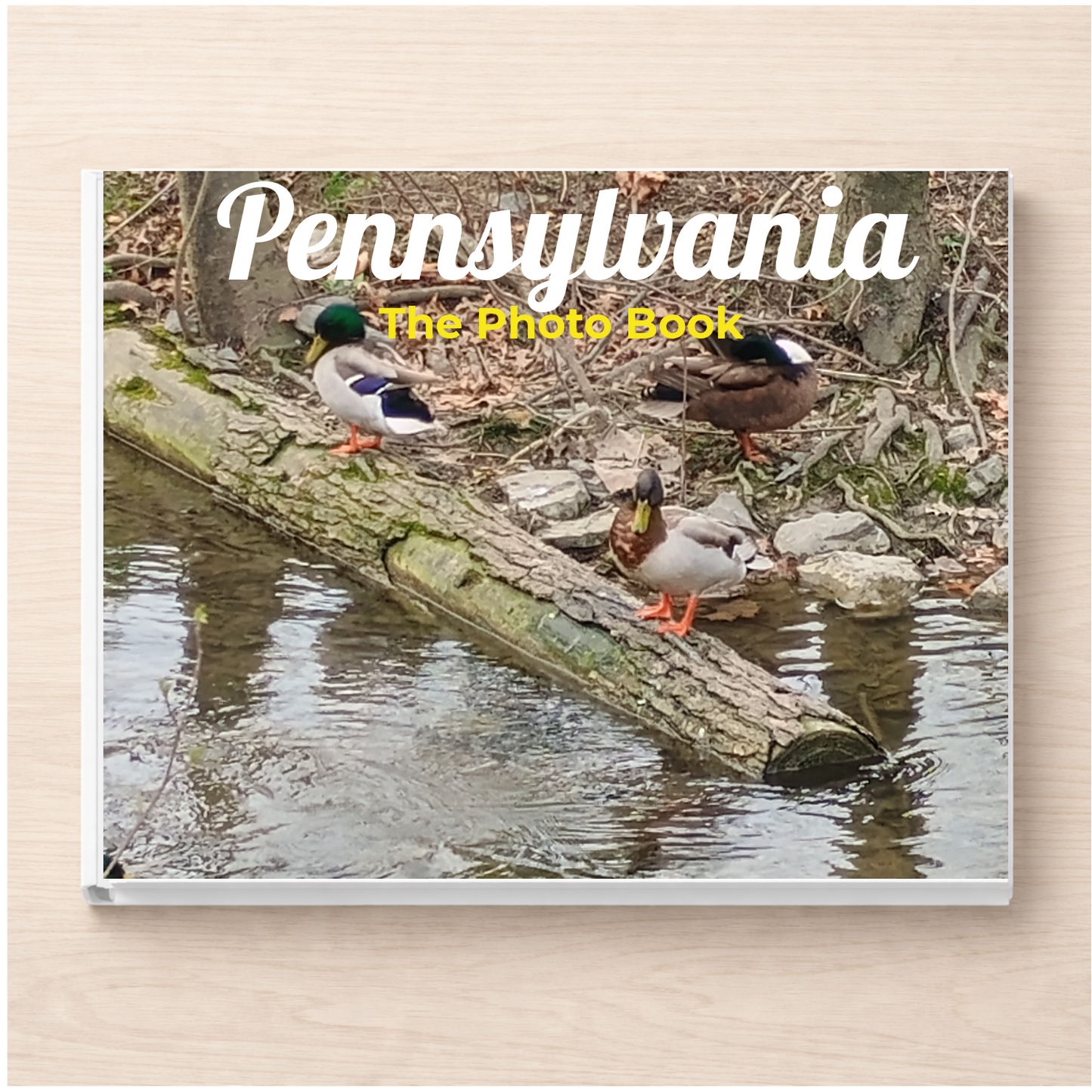 Pennsylvania: The Photo Book