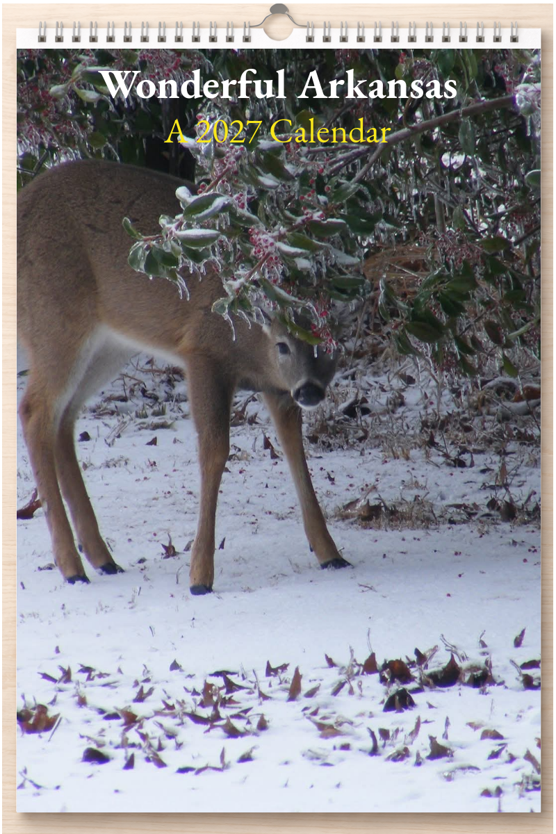 Wonderful Arkansas: A 2027 Calendar
