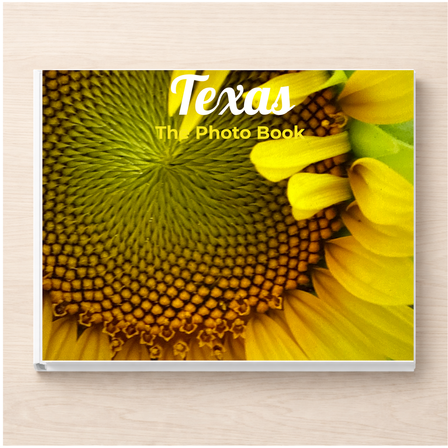 Texas: The Photo Book