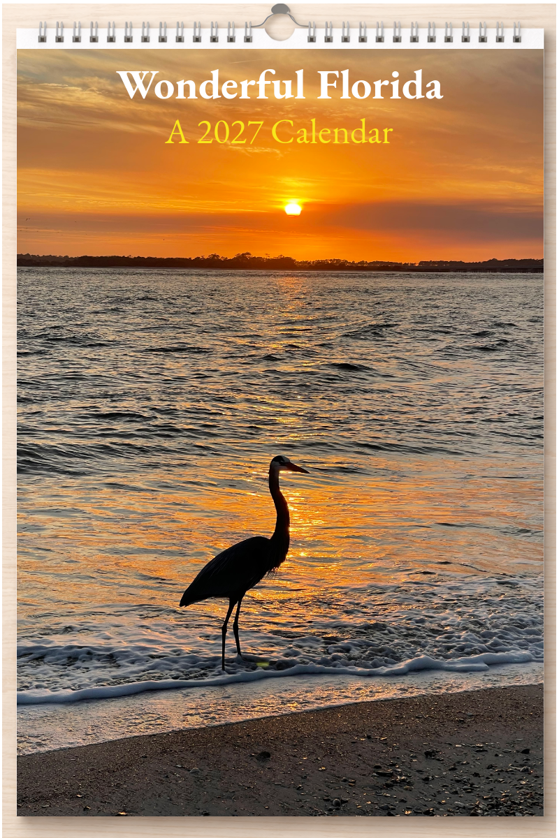 Wonderful Florida: A 2027 Calendar