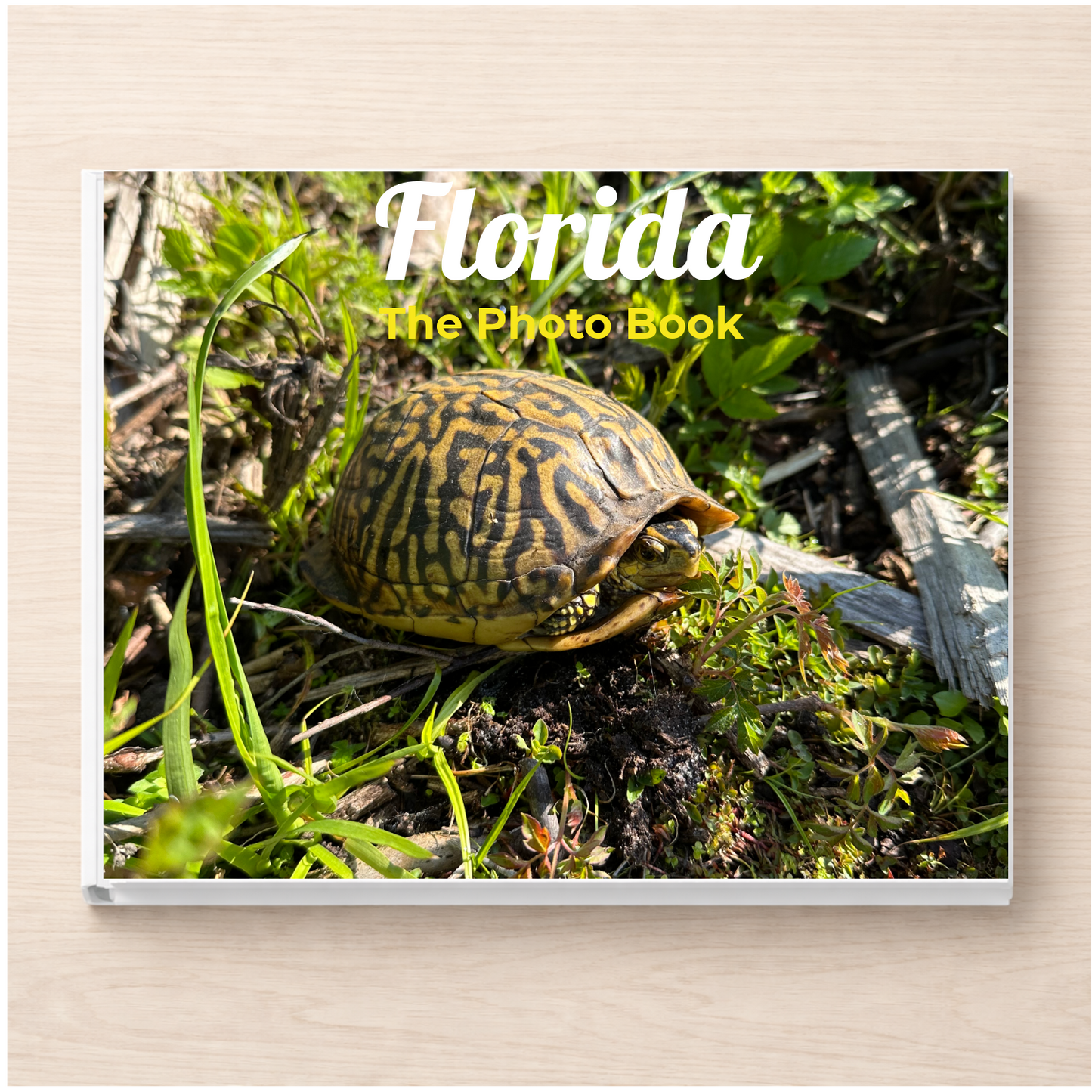 Florida: The Photo Book