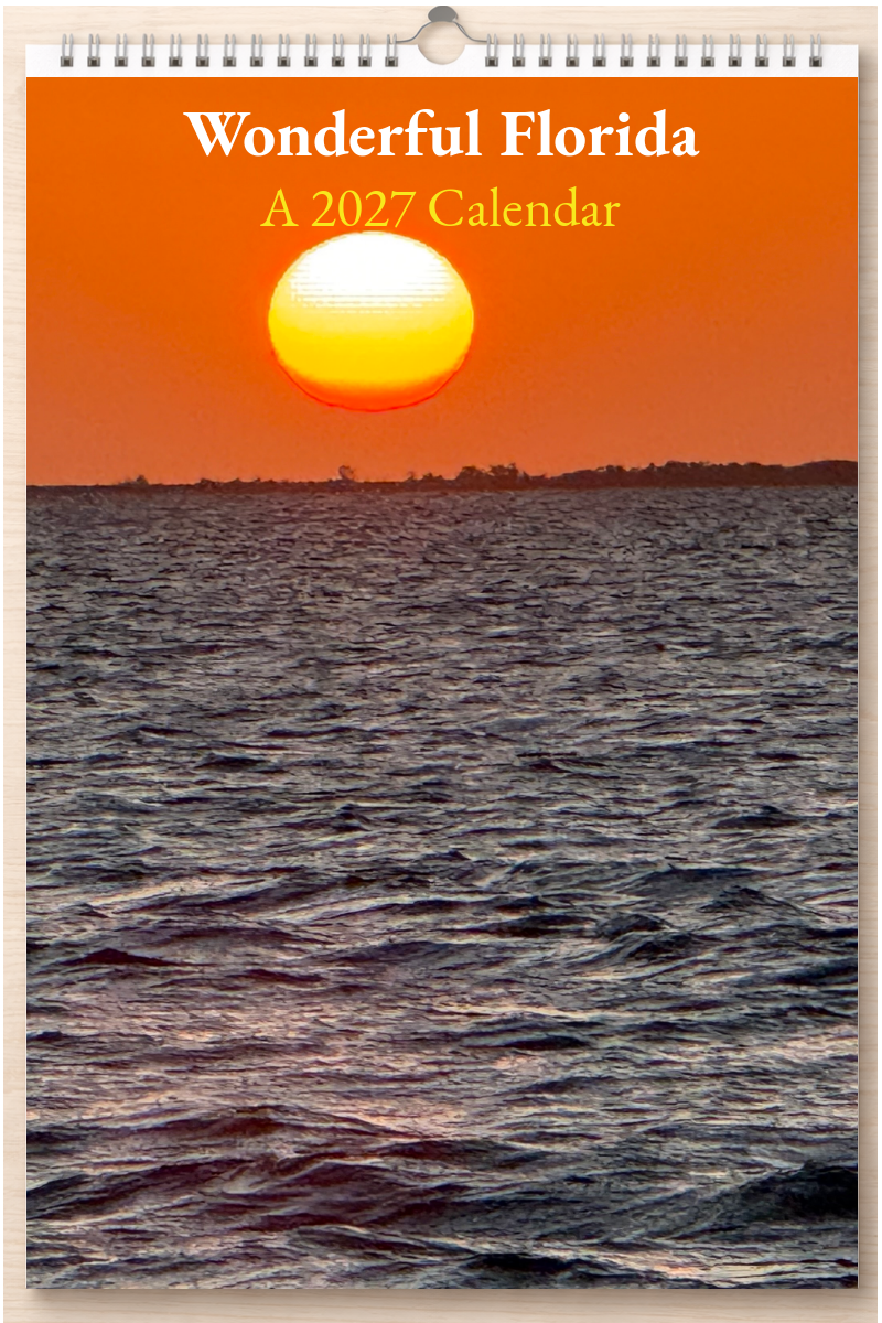 Wonderful Florida: A 2027 Calendar