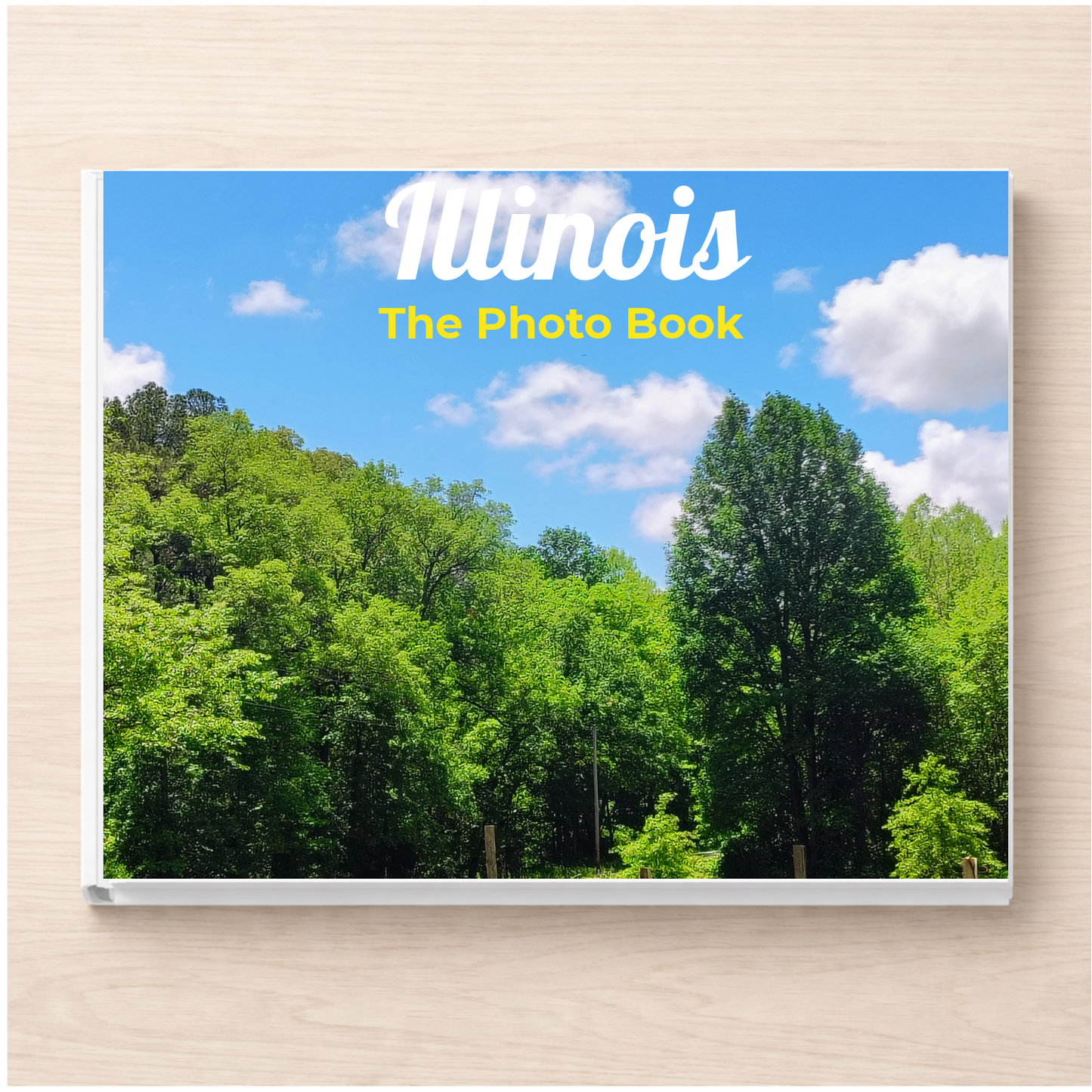 Illinois: The Photo Book
