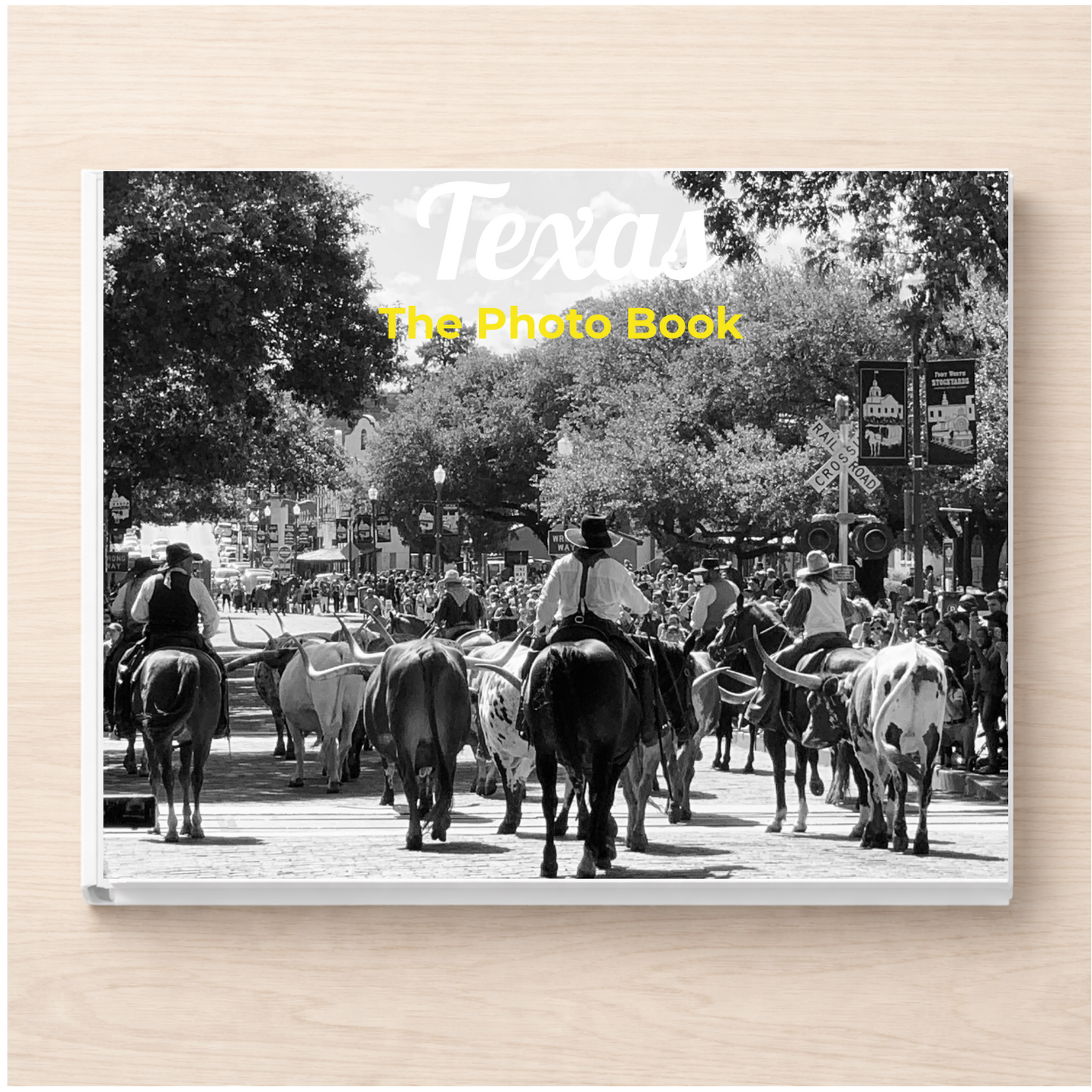 Texas: The Photo Book