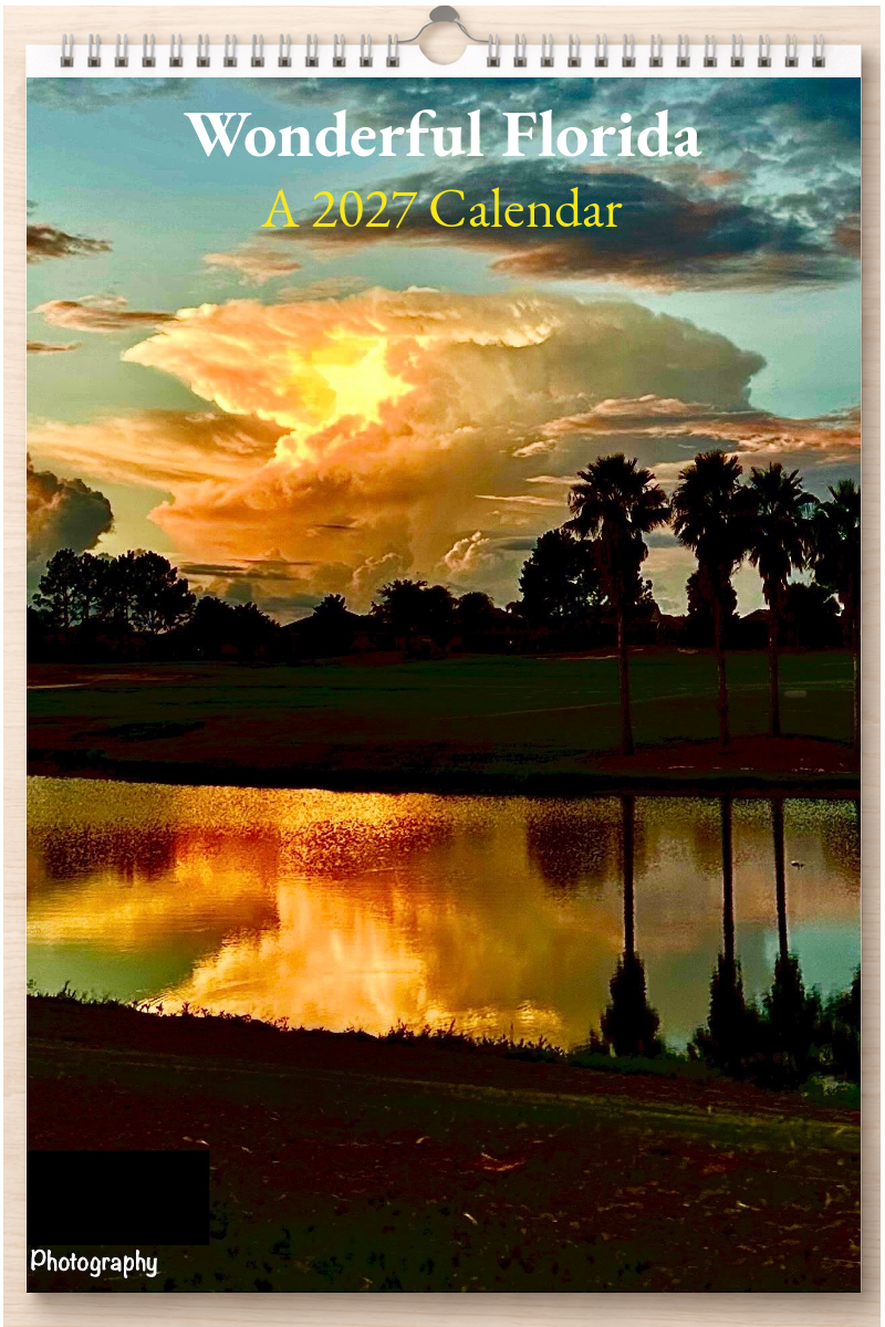 Wonderful Florida: A 2027 Calendar