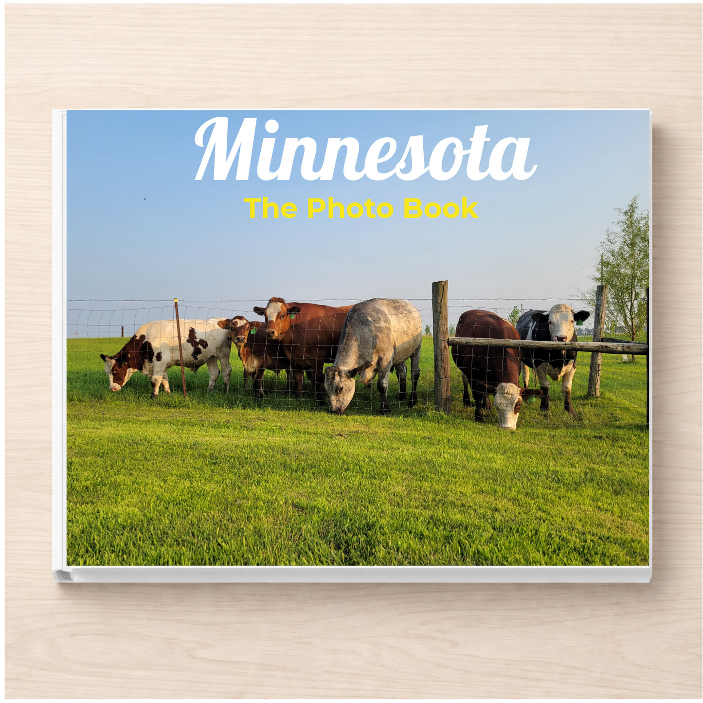 Minnesota: The Photo Book