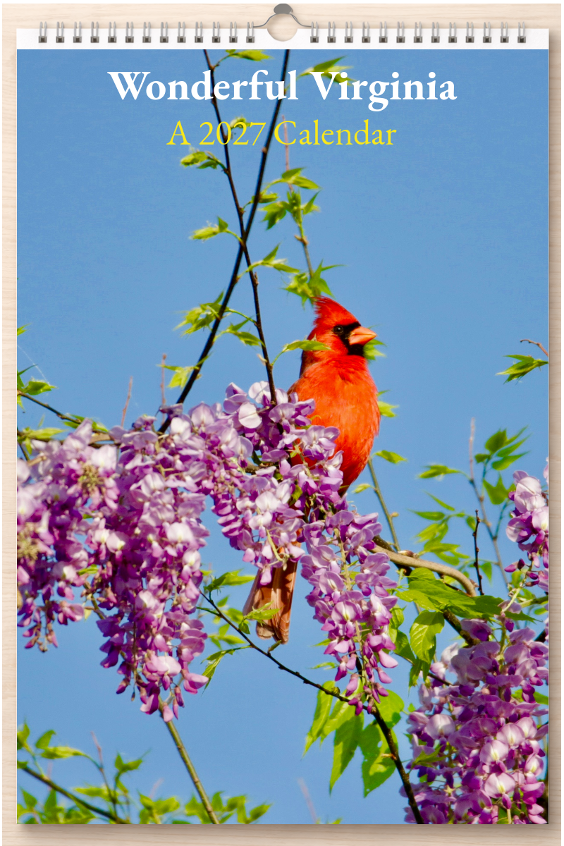Wonderful Virginia: A 2027 Calendar